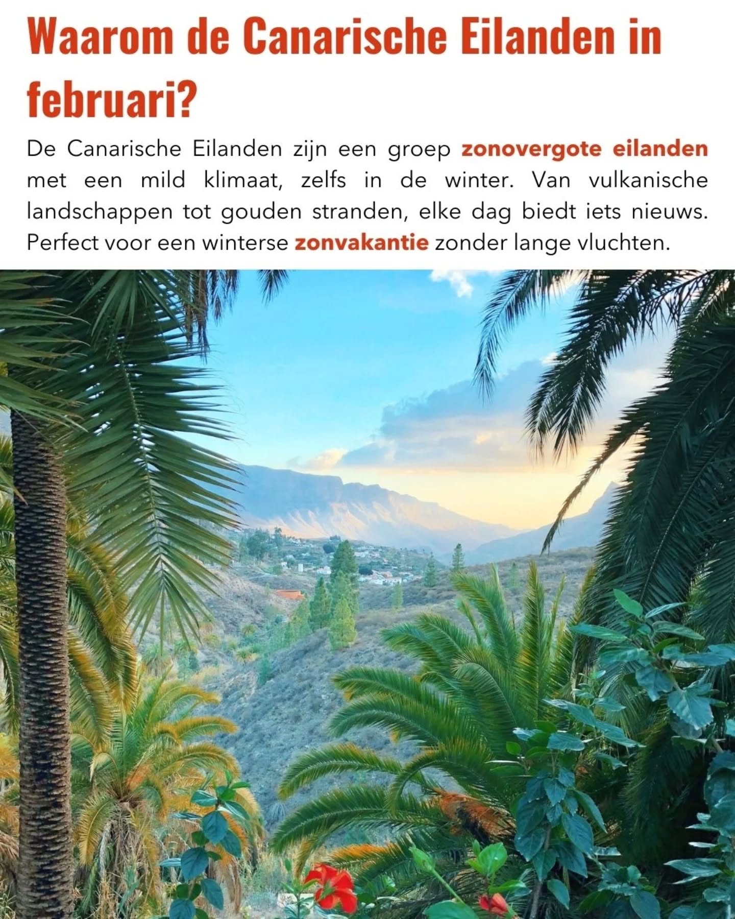 ☀️ De Canarische Eilanden in februari zijn perfect voor winterzon in Europa.
Met temperaturen rond de 20 tot 25 graden is het hier aangenaam warm, terwijl het op het vasteland nog winter is. Of je nu wilt wandelen, stranddagen wilt afwisselen met natuur of gewoon wilt ontspannen: het kan hier allemaal.
Wat deze eilandengroep zo bijzonder maakt, is de variatie. Van vulkanische landschappen op Lanzarote tot lange stranden op Fuerteventura en charmante dorpen op Gran Canaria. Februari is ideaal om actief te zijn zonder extreme hitte.
👉 Wil jij zon, natuur en rust combineren in de winter?
Laat je reis naar de Canarische Eilanden plannen via Met Thijs op Reis (link in bio)