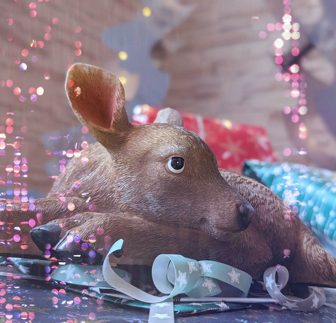 Das Team der Rehkitzrettung Hannover wünscht ein frohes Weihnachtsfest und einen guten Start ins neue Jahr! Wir bedanken uns herzlich bei euch für euer Vertrauen in uns und unsere Arbeit! Wir stehen euch auch im neuen Jahr gerne zur Seite!
#weihnachtsgruss #rehkitzrettung #rehkitzsuche #rehkitzrettunghannover #rehkitzrettunglangenhagen #rehkitzrettungwedemark #rehkitzrettungniedersachsen #wildtierrettung #wildtierhilfe #regionhannover #hannover