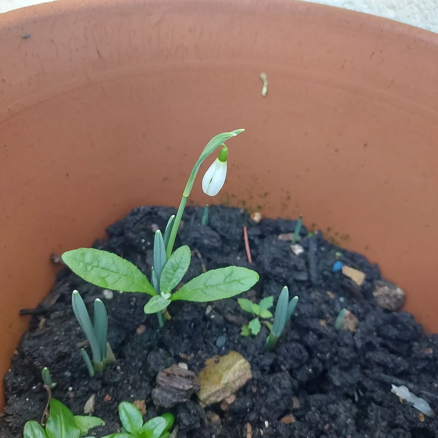 Spring is on its way!!!