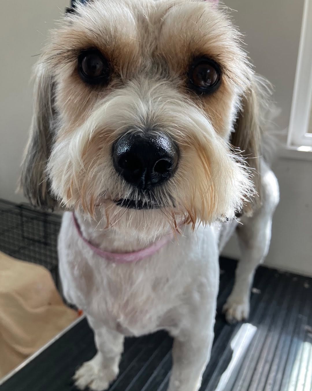 Happy little Flo ❤️