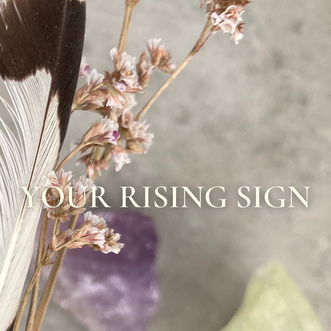 ✨💫 What is your rising sign? It is the sign that is rising on the eastern horizon at the time of your birth. Other names for rising sign are ascendant and Lagna. In Vedic astrology the rising sign is a very important element. Because this sign is placed in the first house and the rest of the houses follow the signs that come after that. Let’s take for example Aquarius as rising sign. This means it is placed in the first house. The second house will be Pisces and the third house Aries and so on. The rising sign is connected with the first house that tells all about your personality, traits and character. 🪐🌛🏹
#astro #astrology #astrologymood #astrologia #vedic #vedas #vedicastrology #starsandplanets #soul #soulguidance #guidance #lifeguidance #crystals #selfhelp #vediclifestyle #vedicknowledge #vedicwisdom #yoga #ayurveda #selfcare #lifestyle #wisdom #healing #heal #astrologyposts #astrology101 #zodiac #signs #jyotish #risingsign