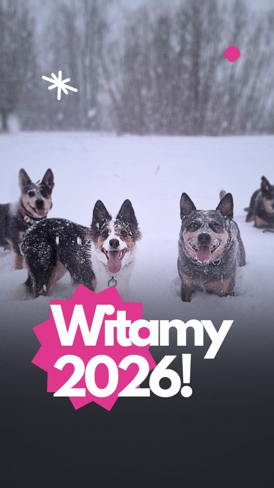 Nowy Rok zaczął się u nas klasycznie: psy w formie, ludzie z kawą w ręku.
1 stycznia w hotelu nie wygląda jak „nowy rozdział”, tylko jak normalny poranek po długiej nocy. Jedne psy odsypiają, inne są gotowe do wyjścia od pierwszej minuty. Rytm dnia nie zna dat w kalendarzu i całe szczęście.
Na ten rok nie będziemy składać wielkich życzeń ani snuć niewiadomo jakich planów. Życzymy Wam raczej rzeczy przyziemnych: spokojnych poranków, przewidywalnych dni i psów, które czują się bezpiecznie, bo ktoś ogarnia ich świat bez chaosu i nerwów. Bez wymagań, że wszystko musi być „lepsze” i „bardziej”. Wystarczy, że jest sensownie.
My robimy to samo co zawsze. Kawa, spacery, miski, zabawy i spavery. I dokładnie tak chcemy wejść w 2026 - normalnie :)
Jeśli Twój pies dziś wstał szybciej niż Ty, zostaw łapę 🐾
#merdumerdu #psihotel #hotelpsa #opiekanadpsem #pieswhotelu #psiakomfort #psicodziennosc #warszawazpsem #nowydwormazowiecki