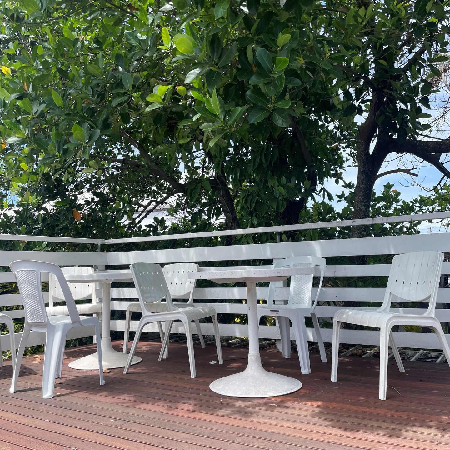 A nice spot to have a chill breakfast and dinner🍹
#cairns#hostel#backpackers#hostelife