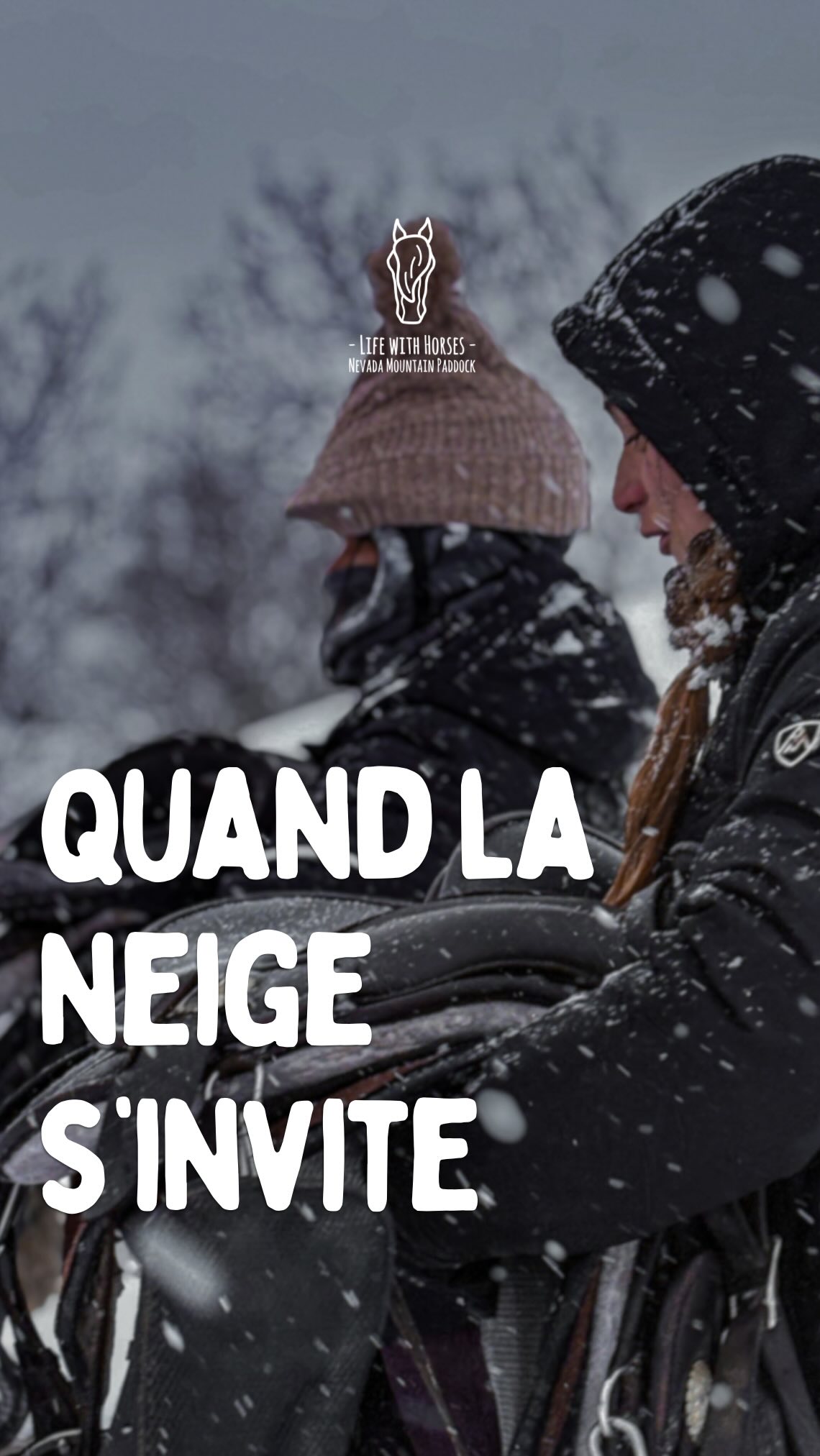 Quand la neige transforme le voyage,
Le silence s’installe,
Les chevaux nous invitent à la connexion.
⸻
🇬🇧 When snow transforms the journey,
Silence settles in,
Horses invite us to connect.
⸻
🇦🇩 Quan la neu transforma el viatge,
El silenci s’instal·la,
Els cavalls ens conviden a la connexió.
#horsejourney #cerdanya #travelwithhorses #slowtravel #ridewithconnection