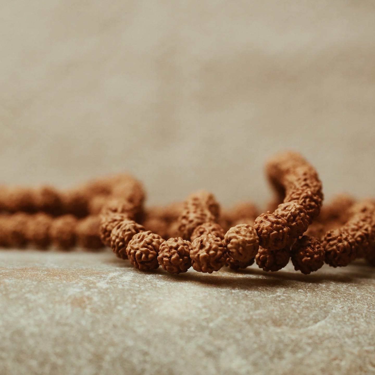 Rudraksha - sind die Samen eines Baumes, dem in Indien seit tausenden von Jahren besondere Kräfte zugeschrieben werden.