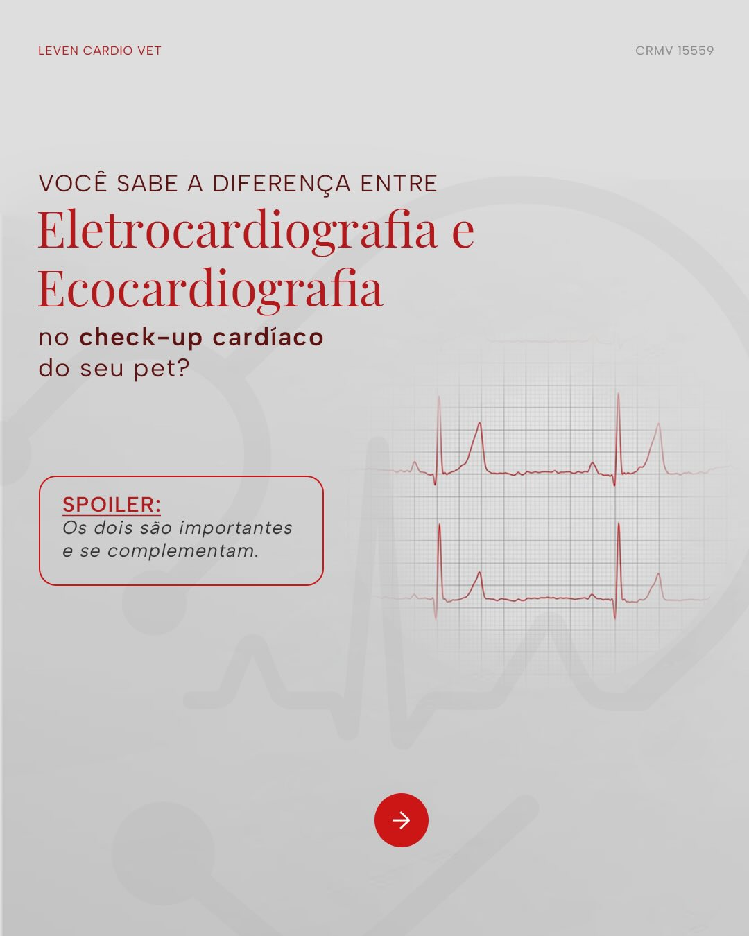 Eletrocardiografia ou Ecocardiografia? Entenda por que os dois exames são importantes no check-up cardíaco do seu pet.
Quando o assunto é saúde do coração, cada detalhe conta, e na medicina veterinária não é diferente.
⠀
Enquanto a Eletrocardiografia (ECG) avalia o ritmo e a atividade elétrica do coração, a Ecocardiografia (ECO) mostra as estruturas e funções em tempo real.
Juntos, eles oferecem uma visão completa do que está acontecendo no sistema cardiológico do seu pet e ajudam a detectar alterações silenciosas que, sozinhos, poderiam passar despercebidas.
⠀
Por isso, no check-up cardiológico, os dois exames se complementam e aumentam a precisão do diagnóstico.
Cuidar da saúde do seu pet também é prevenir.
Acesso o nosso link na bio e agende uma avaliação com quem é especializada em cardiologia veterinária.