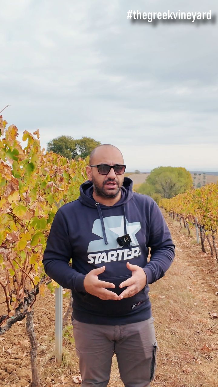 🍇 Γιατί "νοσεί" ο Έλληνας αμπελουργος; Απόσπασμα από το επεισόδιο μας που μπορείτε να βρείτε στο κανάλι μας στο YouTube!
🍇 Βρείτε μας:
https://www.youtube.com/@TheGreekVineyard
https://www.instagram.com/the_greek_vineyard/
https://www.tiktok.com/@the_greek_vineyard
#shorts #αγροτης #thegreekvineyard #farming #αμπελουργια