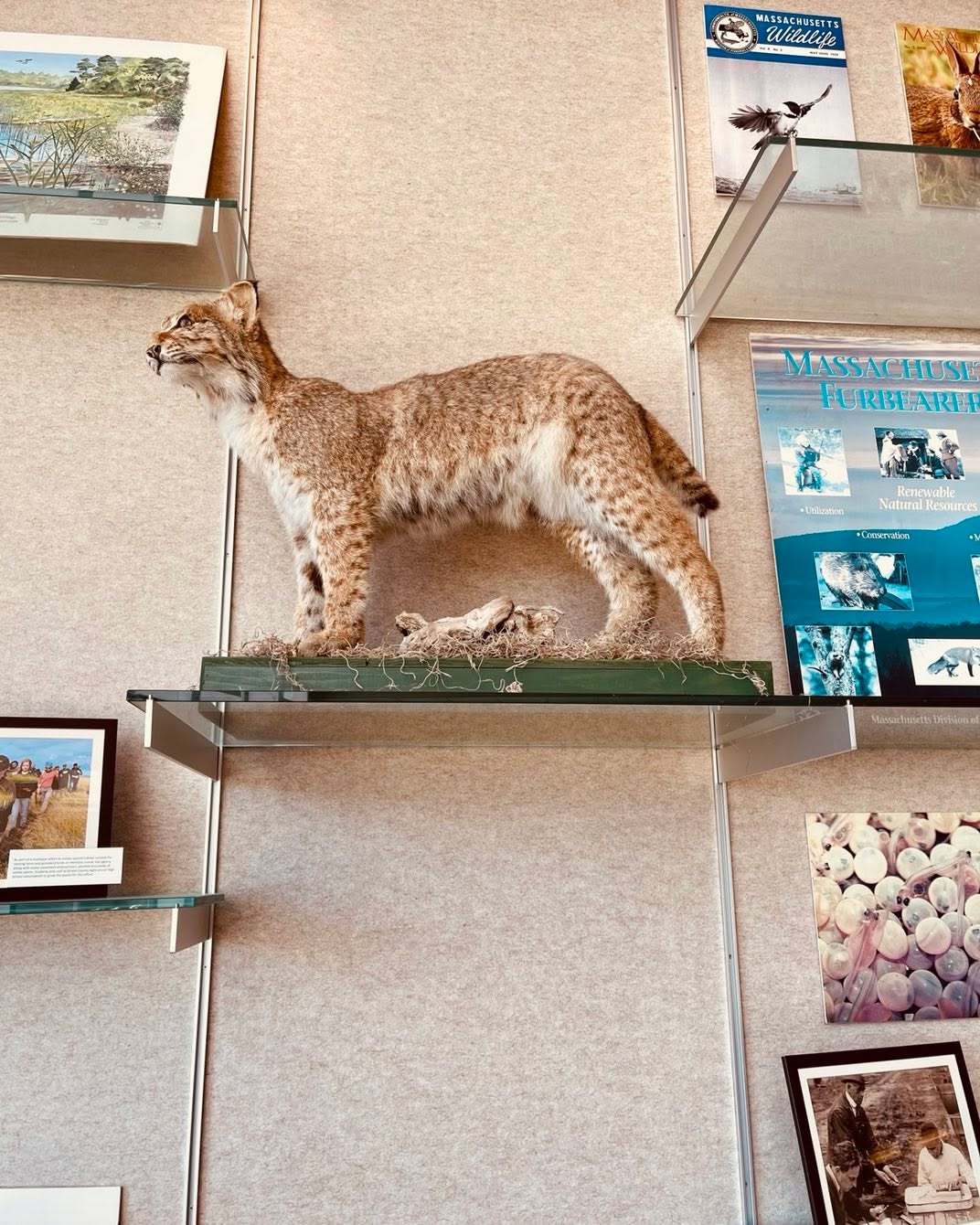 Having some fun while getting some learning in….