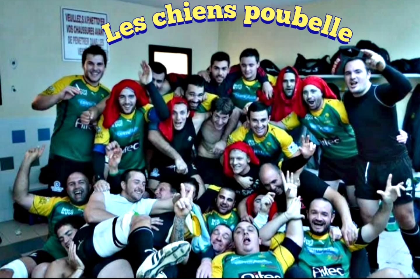 Les chiens poubelle #victoire #rugby #attraction #delire