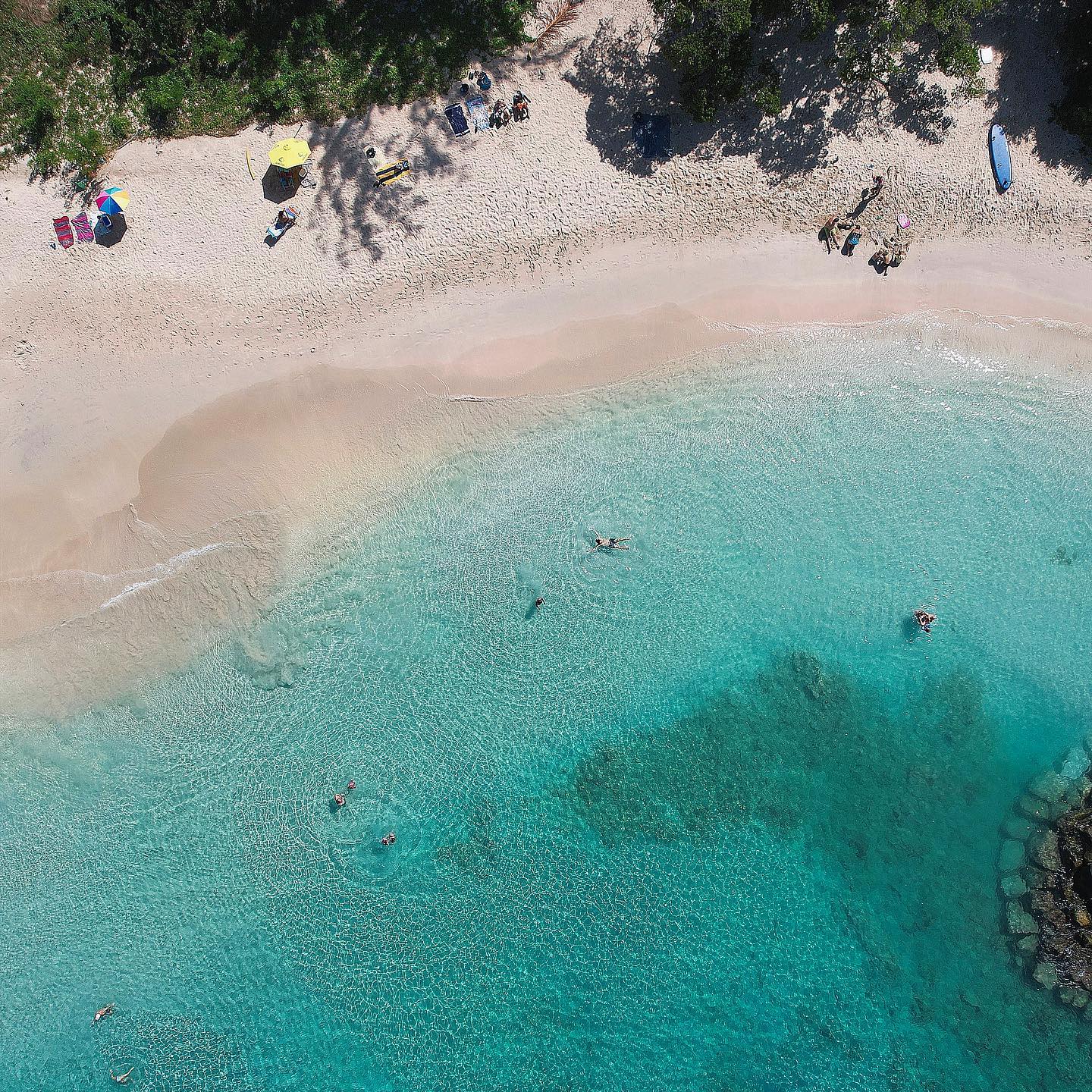 When we say these are the most beautiful waters you will ever see... THIS is what we mean!
Happy Sunday from the 365 Yacht Charters team! ☀️
Ready to book your next day at sea? Get in contact with us! 🛥️
#365yachtcharters #yachtcharters #barbados #barbadosyachts #catamaran #barbadosboats #LoveBarbados #ocean #beach #yacht #boat #charter #visitbarbados #travel #travelbarbados #barbadoswater #onthewater #yachtlife #boatlife #barbadoslife #holiday #vacation #vacationlife #adventure #boattour #boatrip #boatday #boatinglifestyle #summervibes