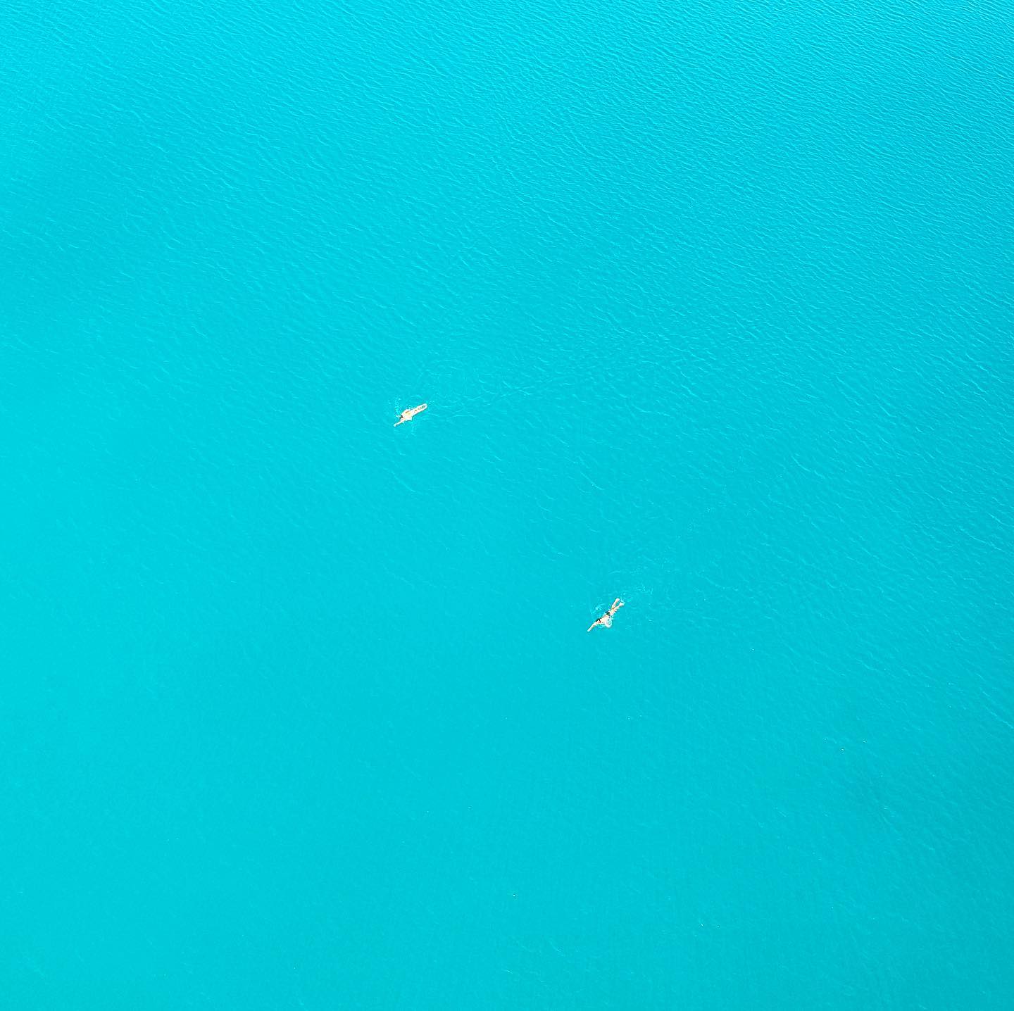 El color que define el sureste mexicano
.
.
.
.
.
.
.
#dronephotography #drone #dronestagram #vidamexico #instamexico #mextagram #travelphotography #travelblogger #travelblog #dji #djiair2s @visitmexico #shotondji