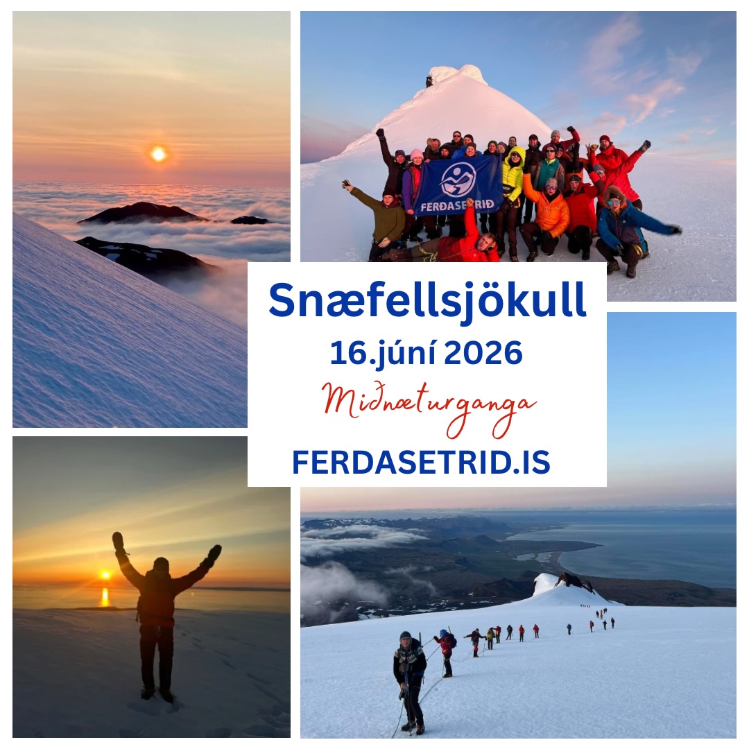 Snæfellsjökull konungur íslenskra fjalla. Sumir finna sterk áhrif frá jöklinum og telja að hann sé ein af sjö stærstu orkustöðvum jarðar. Löngum hefur dulúð því sveipað jökulinn og umhverfi hans. Ferðasetrið verður með miðnætur sumarsólstöðugöngu í júní 💛 👉 https://www.ferdasetrid.is/sumarsolstodur