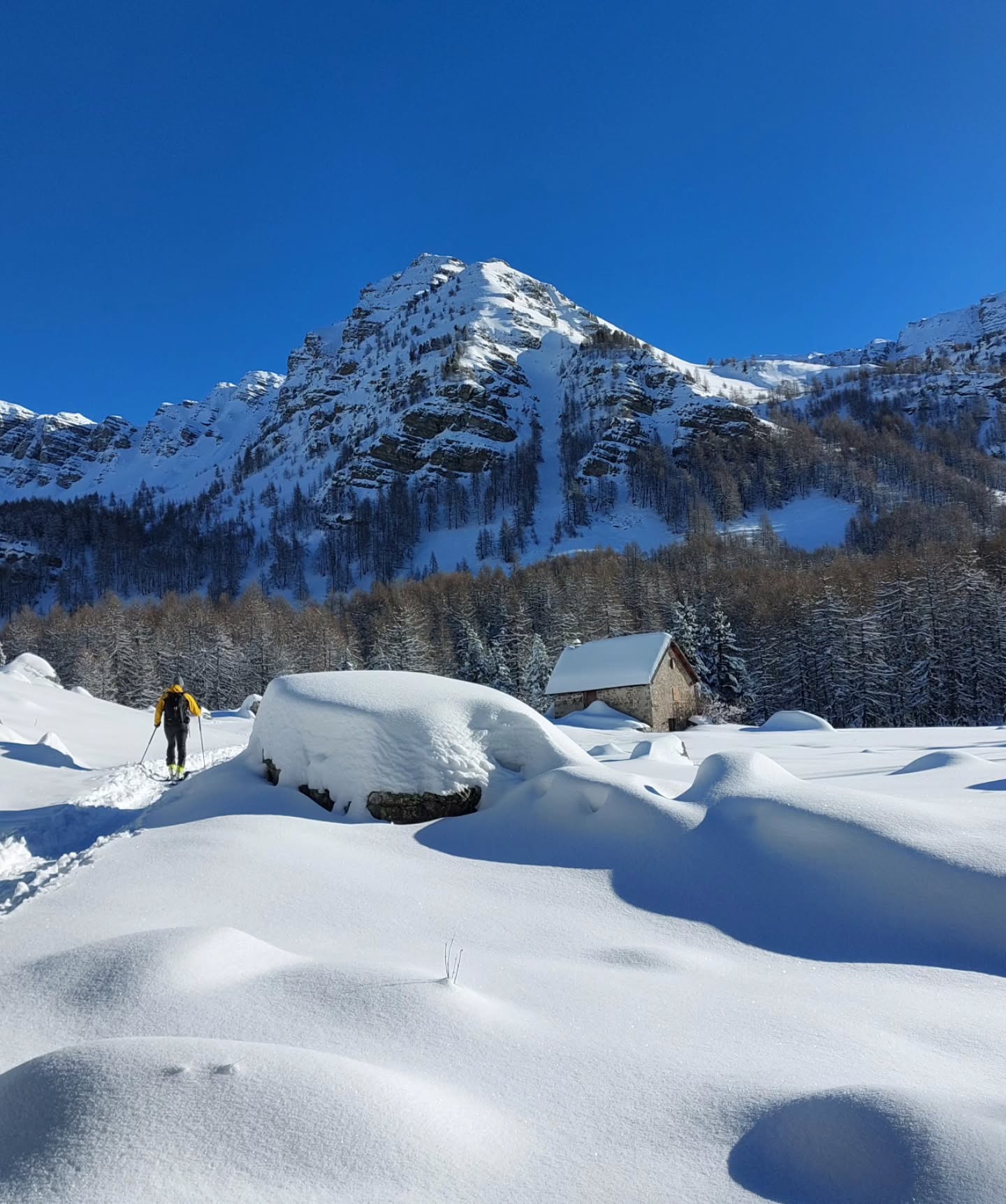 Ski de randonnée à la Boucharde
Un très bon enneigement en cette fin janvier
#mercantour
#skidemontagne #skiderandonnée