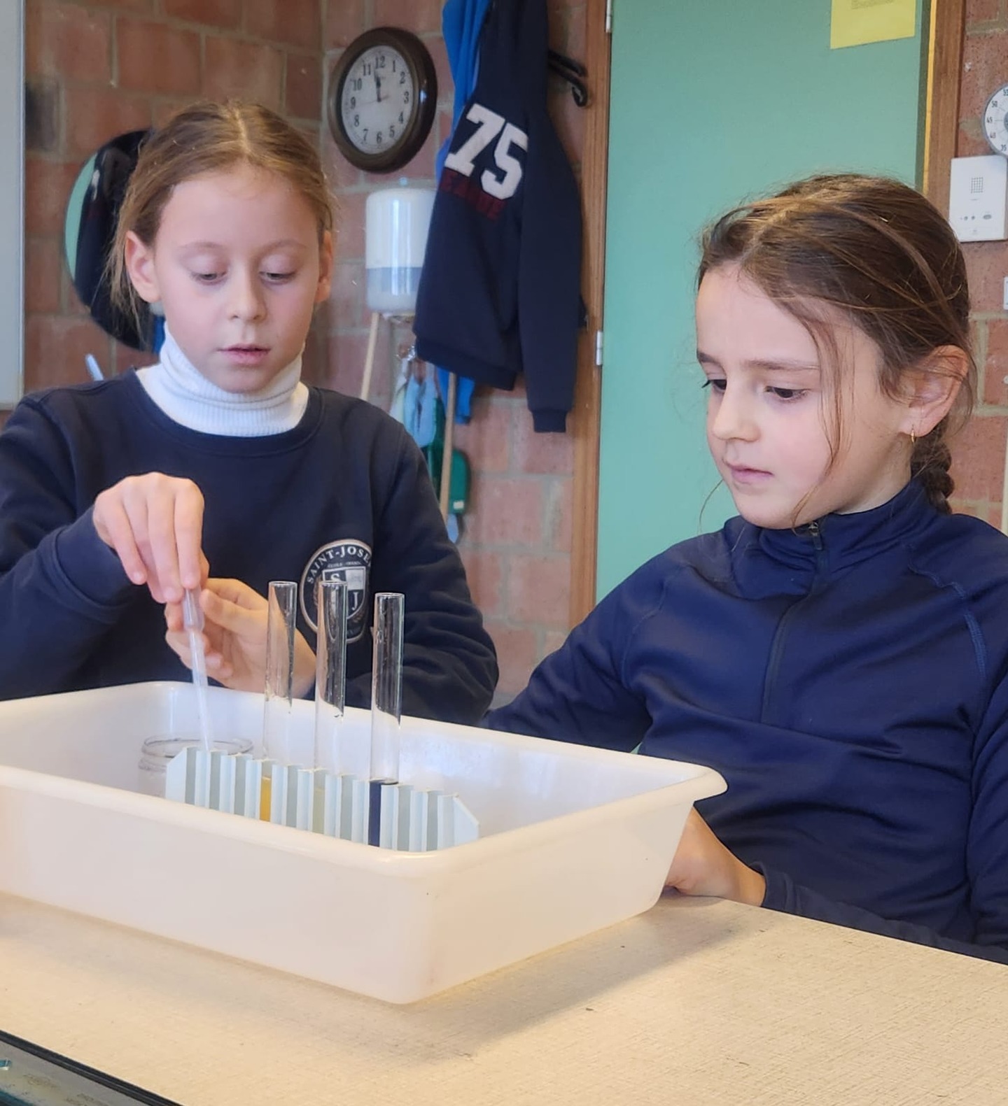 Nos élèves de P3 et P4 ont participé à un atelier @capsciences.be passionnant autour de l’alimentation. À travers le thème « Regarde dans ton assiette », ils ont appris à mieux comprendre ce qu’ils mangent… et pourquoi c’est important.
Ils ont découvert la pyramide alimentaire, la composition des aliments, le rôle des glucides, lipides et protéines, la différence entre sucres lents et sucres rapides, ainsi que le fonctionnement de l’appareil digestif. Un atelier riche en échanges, en manipulations et en prises de conscience !
Mieux manger pour mieux grandir : un sujet essentiel aujourd’hui, pour prendre soin de son corps et adopter de bonnes habitudes dès le plus jeune âge 🌿.
#alimentation #capsciences #ecoleprimaire #ecolematernelle #viescolaire #ecolesaintjosephohain #ecolesaintjoseph #ecolestjosephohain #ecolestjoseph #ecoleohain #ecolelasne #ecolesdubrabantwallon #vivrealasne #communedelasne #ohain #lasne