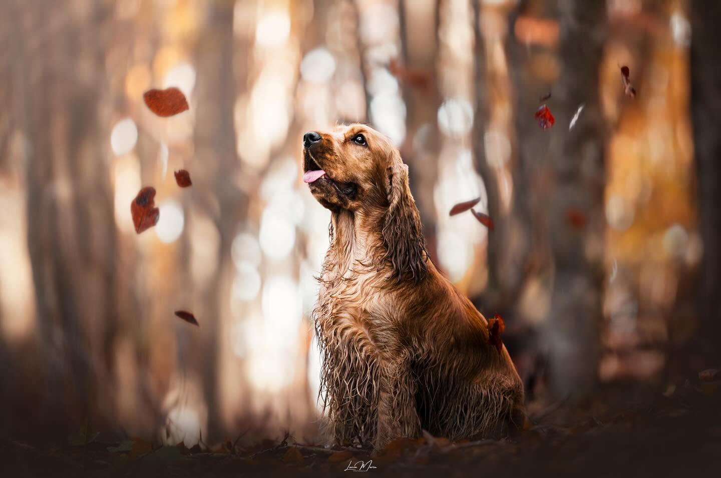 Fall Beauty🍁🤎
Inauguramos el feed de otoño de forma oficial aunque ya sabéis que mi consistencia con estas cosas brilla por su ausencia😆
Aún así, ya tengo ganas de los shootings invernales que este año tengo cada ideaza que no doy a todo!