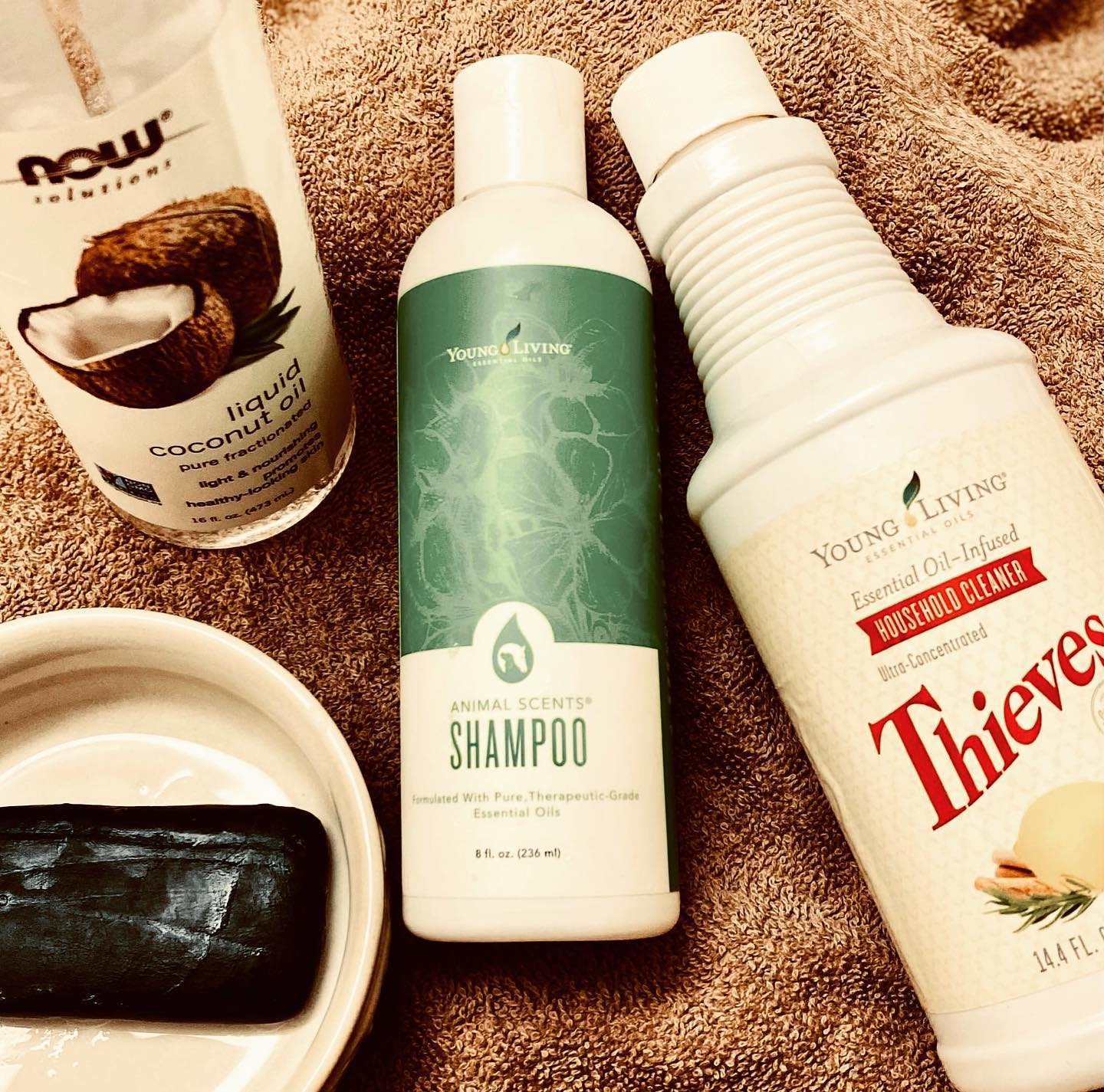 //Animal Info//
DE-SKUNKING 🦨
Ok... If you have dogs and live in the "country", you have most likely come across the most unpleasant situation where your dog gets sprayed by a skunk!
If you have, I'm sure you have tried EVERYTHING... and have found that nothing REALLY works.
I stumbled across something that worked miracles for my two dogs who still haven't figured out that they shouldn't chase everything that moves! 😅
Save this post so you will have it next time your dog temporarily loses its mind!
1) Do NOT get them wet with water right away! Use fractionated coconut oil (apply liberally) and rub it into their skin like soap. Let it sit for 5ish minutes.
2) Get them wet and use Young Living Charcoal Bar soap to wash the fractionated coconut oil off. Use a cloth to get around their snout and eyes. Rinse well.
3) Add 1 capful of Thieves Household Cleaner to some Animal Scents Shampoo and wash as you normally would. (I use YL Lavender Conditioner after I shampoo for an extra soft pup.)
4) Rinse well and have a serious conversation with Fluffy about never doing this again. 🐶