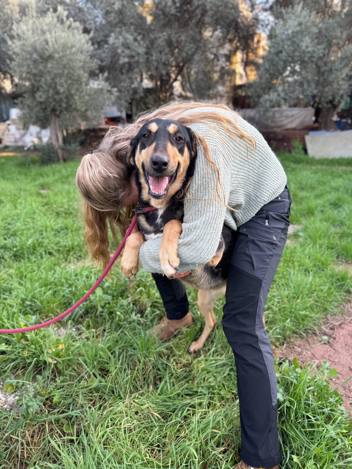 Nikki's rescuer, who fed her and protected her whem she was living on the streets, and who brought her to us when it was no longer safe for her, sometimes comes to visit her. Nikki is always so happy to see her!
Nikki is still looking for her forever family. Find out more about her on our website www.melezdogrescue.com/nikki