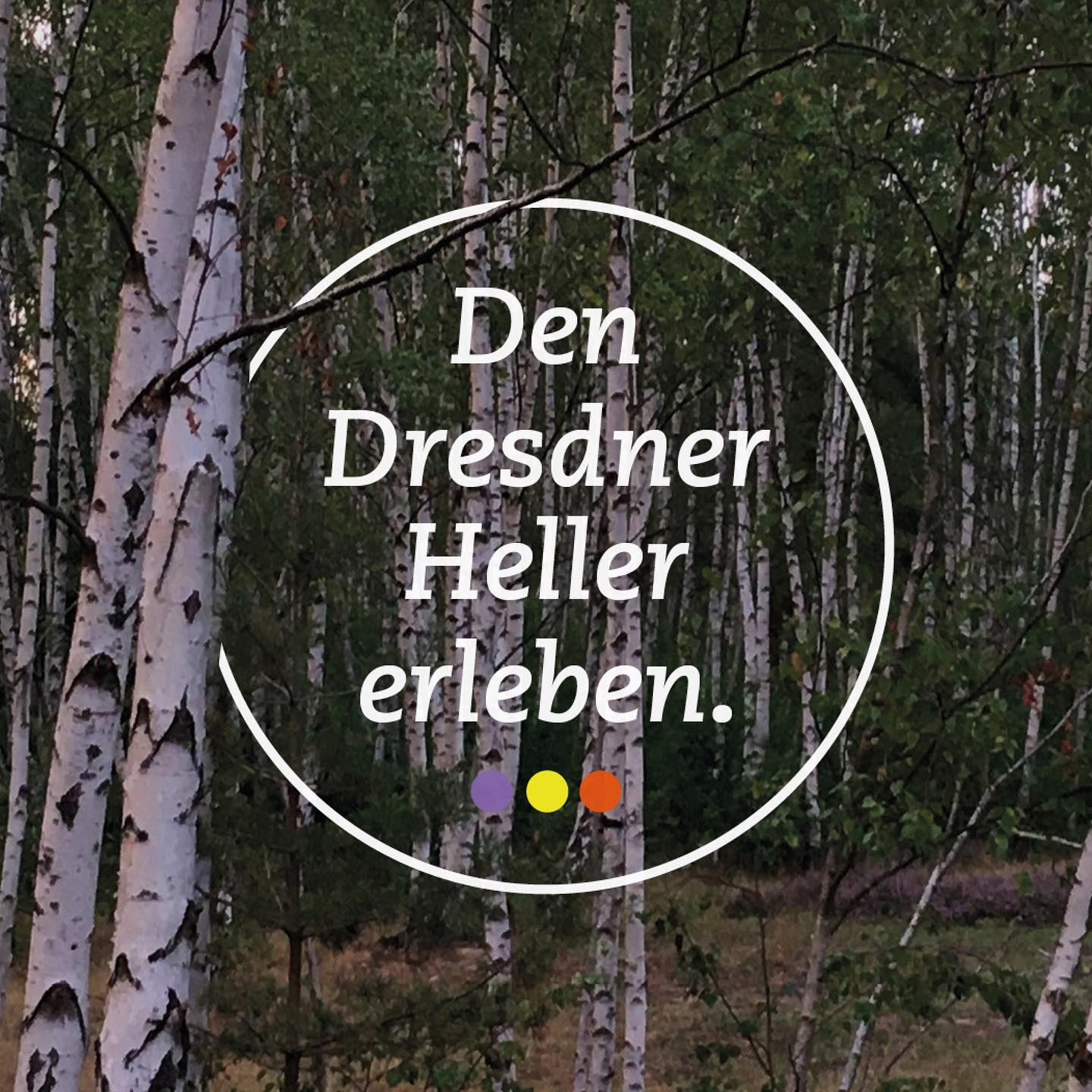 ...das könnt ihr, in Zeiten der Ausgangsbeschränkungen, nun auch online. Schaut einfach mal unter www.dresdner-heller-erleben.com vorbei!