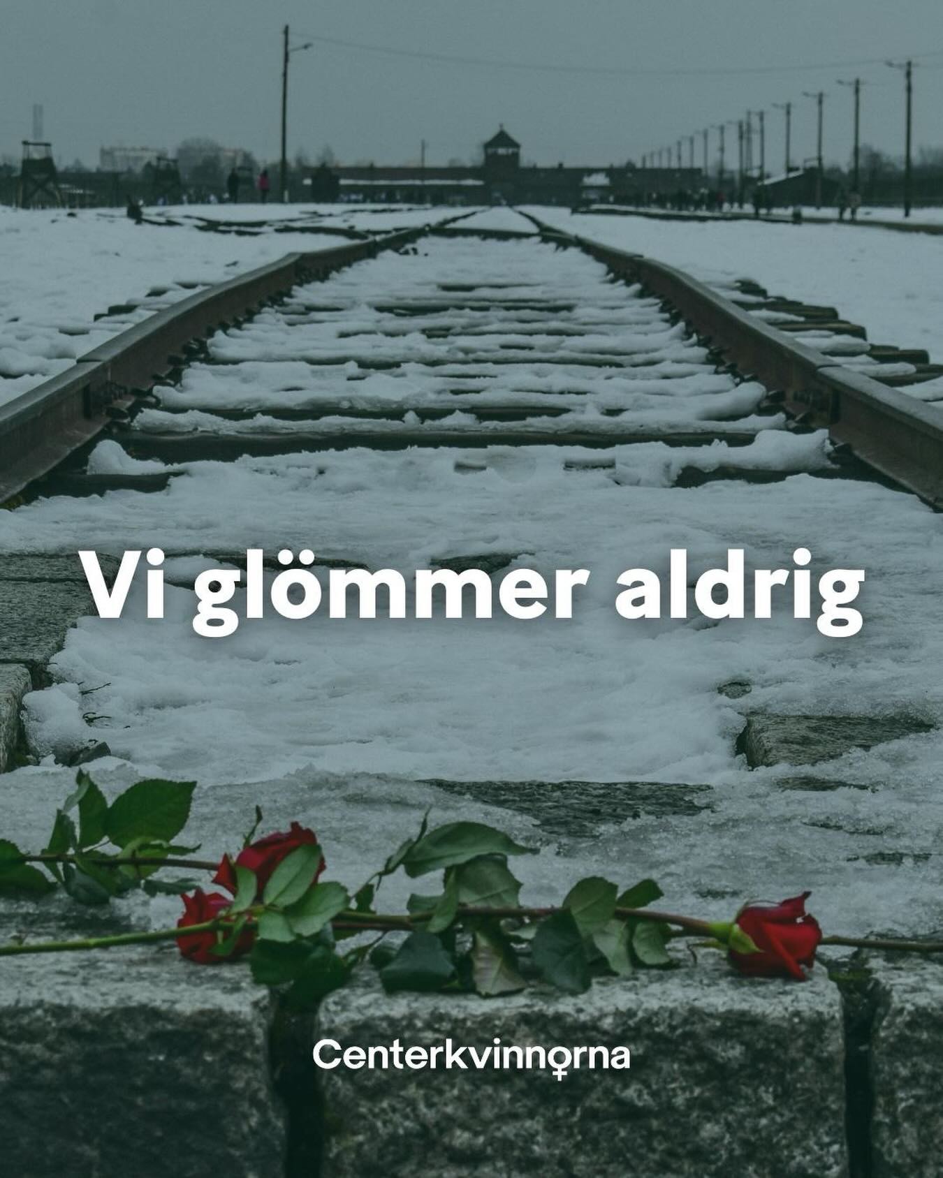 Idag har det gått 81 år sedan befrielsen av koncentrations-och förintelselägret Auschwitz-Birkenau. Centerkvinnorna glömmer aldrig.
Aldrig igen.