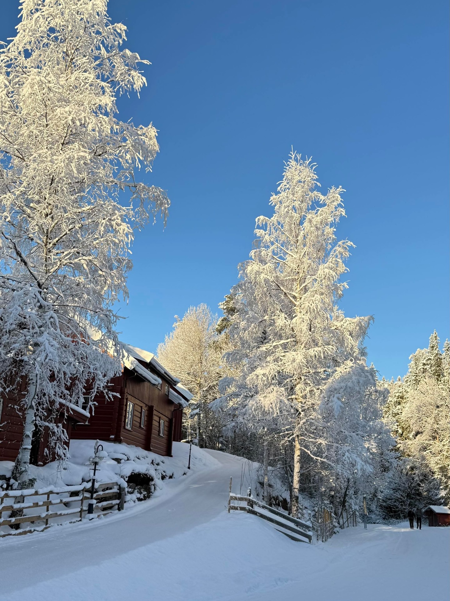 Opplev ekte vinterstemning på Kleivstua i februar.
Feir morsdag med gode smaker og ro.
I uke 8 har vi gode priser for privatopphold og konferanser.
Her venter natur og aktiviteter rett utenfor døren.
#kleivstua #kleivstuahotell #møtestedetpåkrokskogen