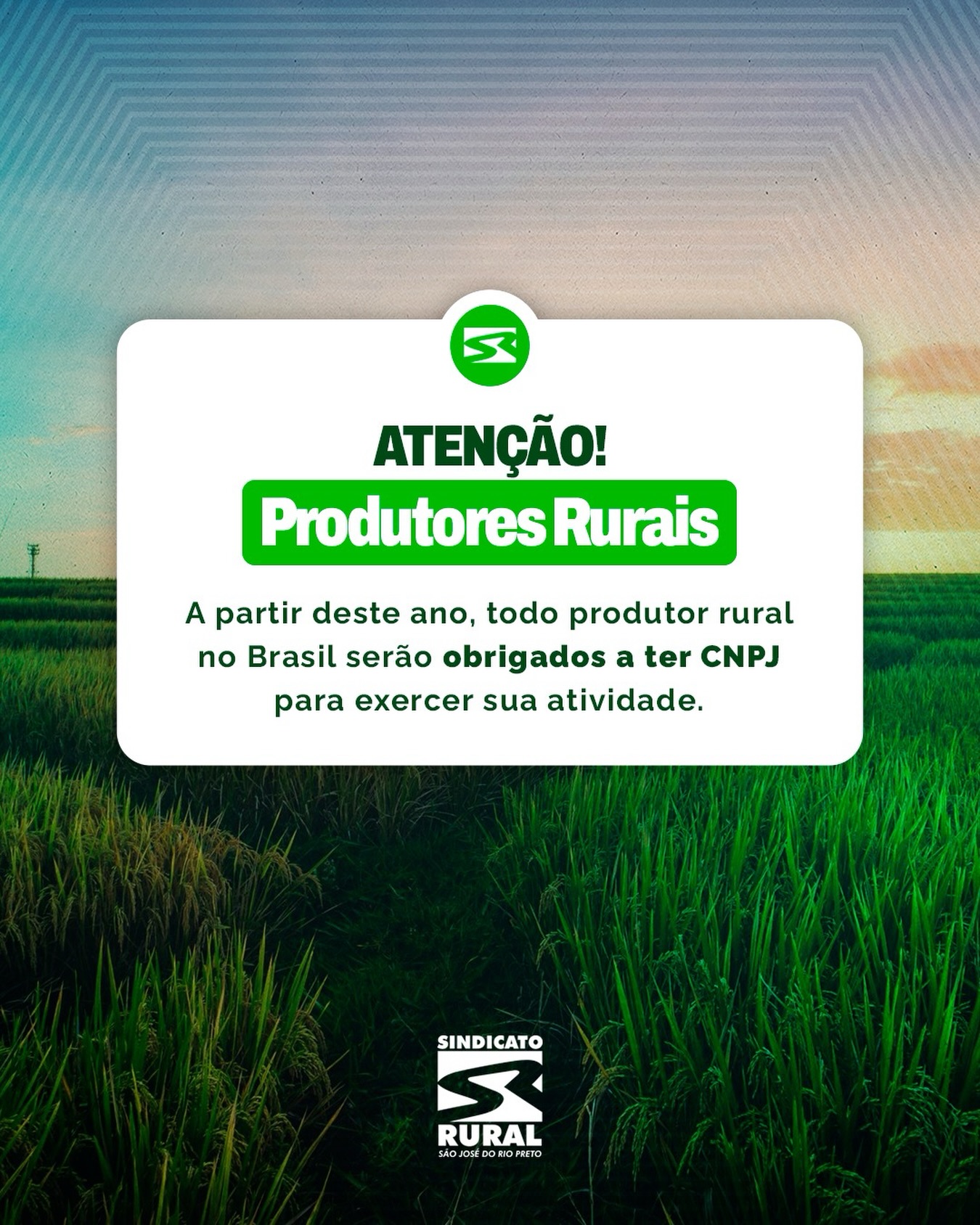 📢 Produtor rural, atenção!
O CNPJ passa a ser obrigatório para todos os produtores rurais, sejam pessoa física ou jurídica. A mudança faz parte da Reforma Tributária, que entra em fase de testes este ano e será definitiva em 2027.
Quem ainda atua apenas com CPF precisará se adequar, e se organizar com antecedência é a melhor forma de evitar problemas fiscais e cadastrais no futuro.
👉 O CNPJ será a base da vida tributária do produtor rural nos próximos anos.
Telefone: (17) 3232-5115⠀
Site: www.sindicatoruralsjrp.com.br
#SindicatoRuralSJRioPreto #ProdutorRoral #ReformaTributária #AgroBrasil #SãoJoséDoRioPreto
