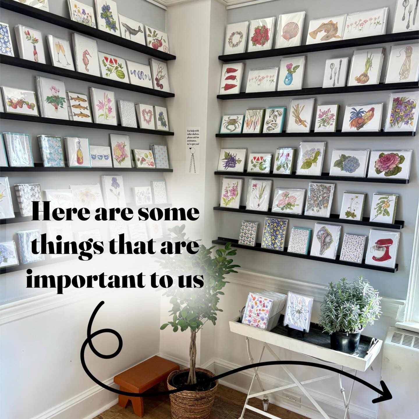 It is unbelievably difficult to keep posting about our new store opening when so many truly terrible things are occurring in the world. So, here are some things that are important to us.
💔
Soft opening Sunday, February 1st at 12 Main Street, Essex, CT. Open 12pm-5pm.