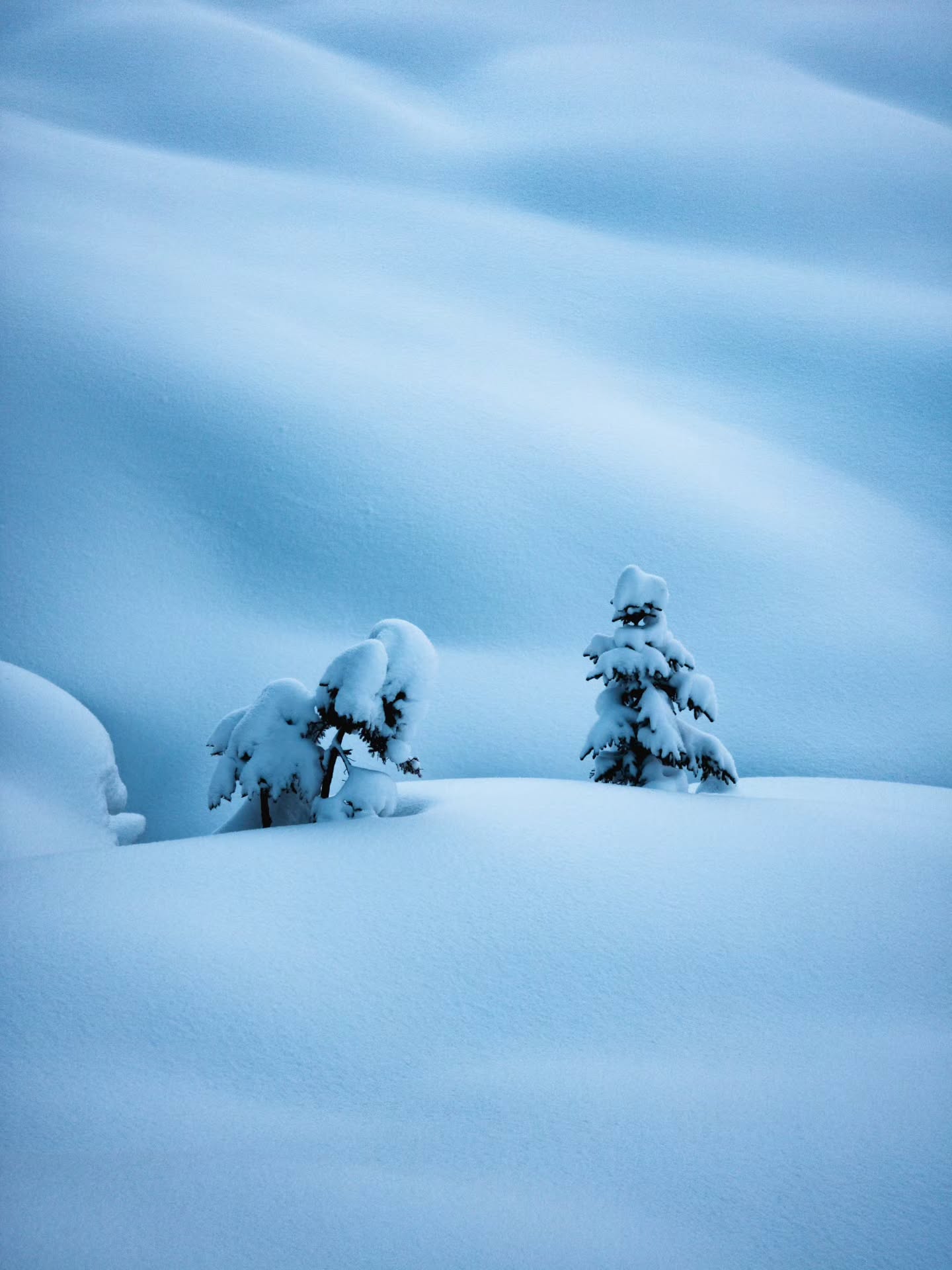 Details in the snow ❄️
#switzerland #fineart #photography
