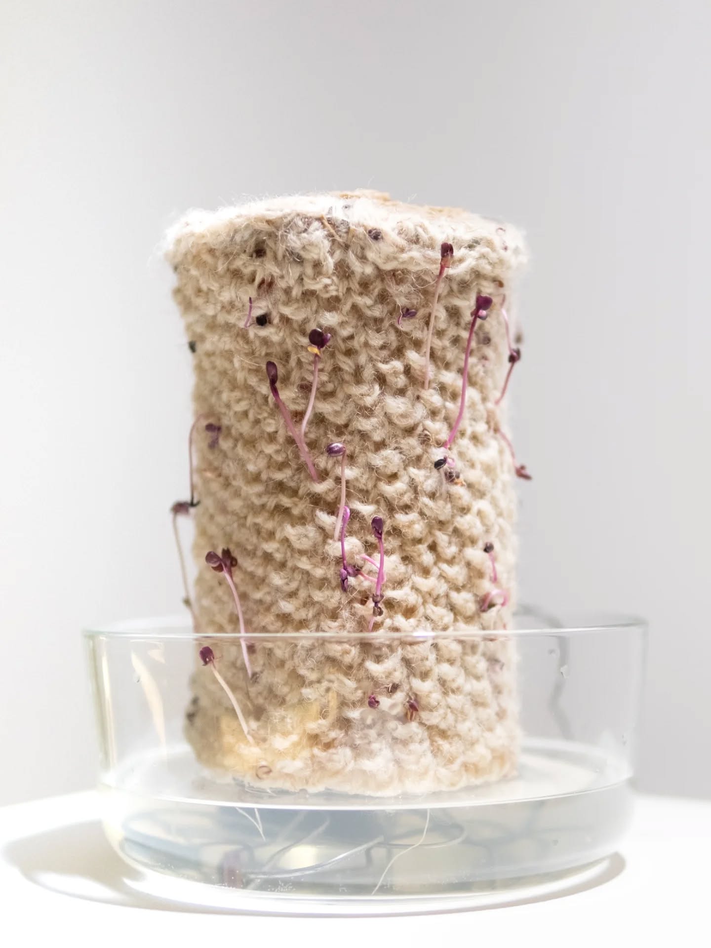 Reversed Cascade
Year: 2025
Medium: 3D print, Fabric, Seeds
Dimensions: 22 × 22 × 45 cm
Three Ecologies
Year: 2025
Medium: 3D print, Textile, Seeds, Pump
Dimensions: 17,5 × 17,5 × 50 cm
Artist bio:
Antonia Ablass
I am a textile designer and artist from Berlin and Brandenburg. Growing up between the city and the countryside, influenced my work by the duality between those different lifestyles. I wish to bring together plants, humans and other living beings.
Early in my textile-design studies, I began exploring the potential of textiles to reweave nature into the built environment. Since then, I am dedicated to deepen my understanding of plant physiology, wildlife, and human-nature relationships.
I see a big gorge growing between humans and the natural world, and I think it is a downwards spiral. Since we are not exposed that much to nature anymore, our understanding, and value shrinks. The disconnection gets bigger, or even stronger, natural cycles and processes are perceived as disturbing, or disgusting. I hope to create an understanding for nature, value it, and inspire for more integration in our daily lives.
Pieces exhibited at Nature Doesn't Draw Straight Lines at Galeria Municipal Jovem, Vila Franca de Xira @camaramunicipalvilafrancaxira
Photos by: @plantextile