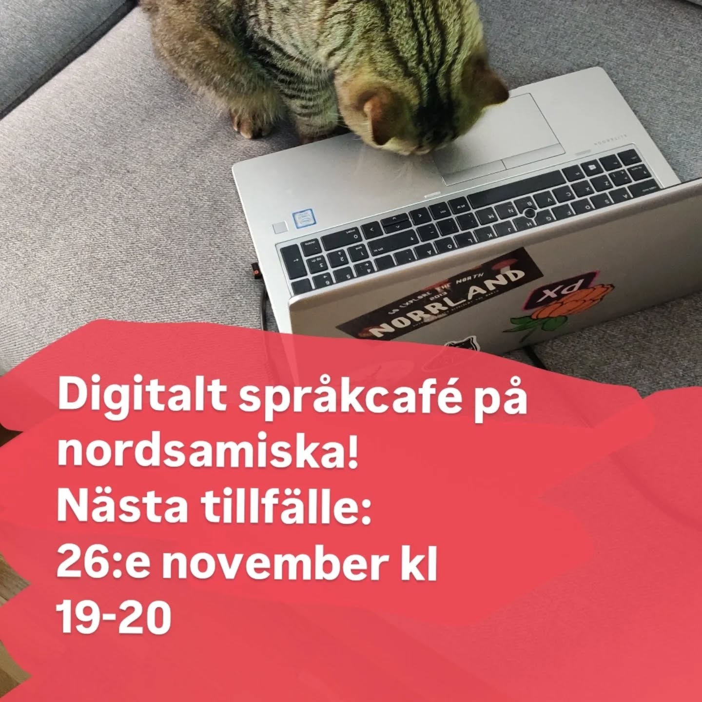 Sedan ett år tillbaka har jag och några andra personer bildat ett digitalt nordsamiskt språkkafé.
Vi träffas tisdagar var tredje vecka kl. 19-20 för att prata nordsamiska med varandra under en timmas tid.
Allt är gratis.
Nästa gång är tisdag 26 november.
Om du vill vara med kan du lägga till mig på Facebook. Sedan lägger jag till dig i språkkaféets Messengergrupp.
//Anne-Laila Blind Petersdotter.
❤️💛💙💚