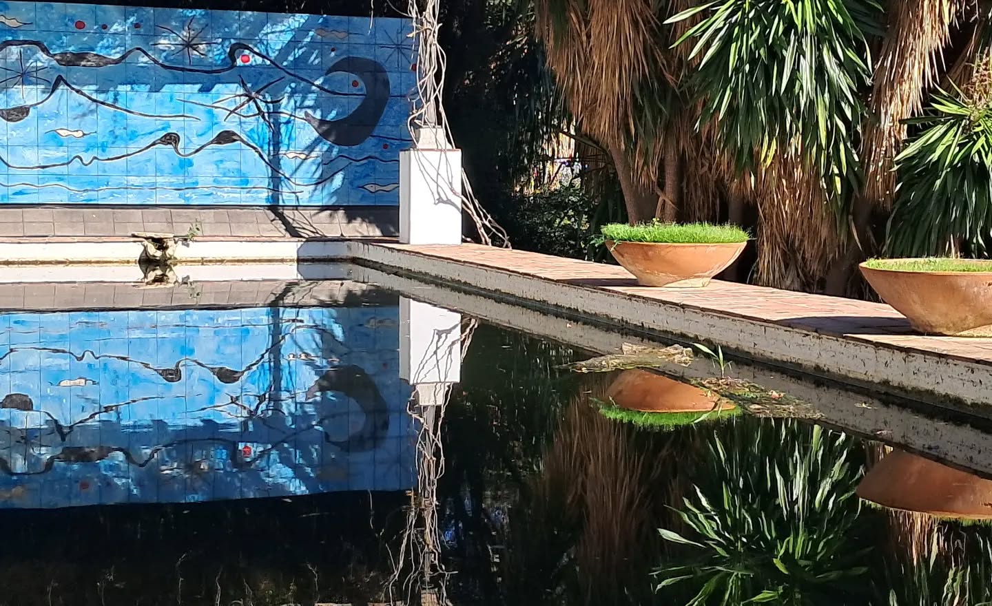 Artist on holiday. Jardin Botanico #artistonholiday #whatdoartistsdoallday