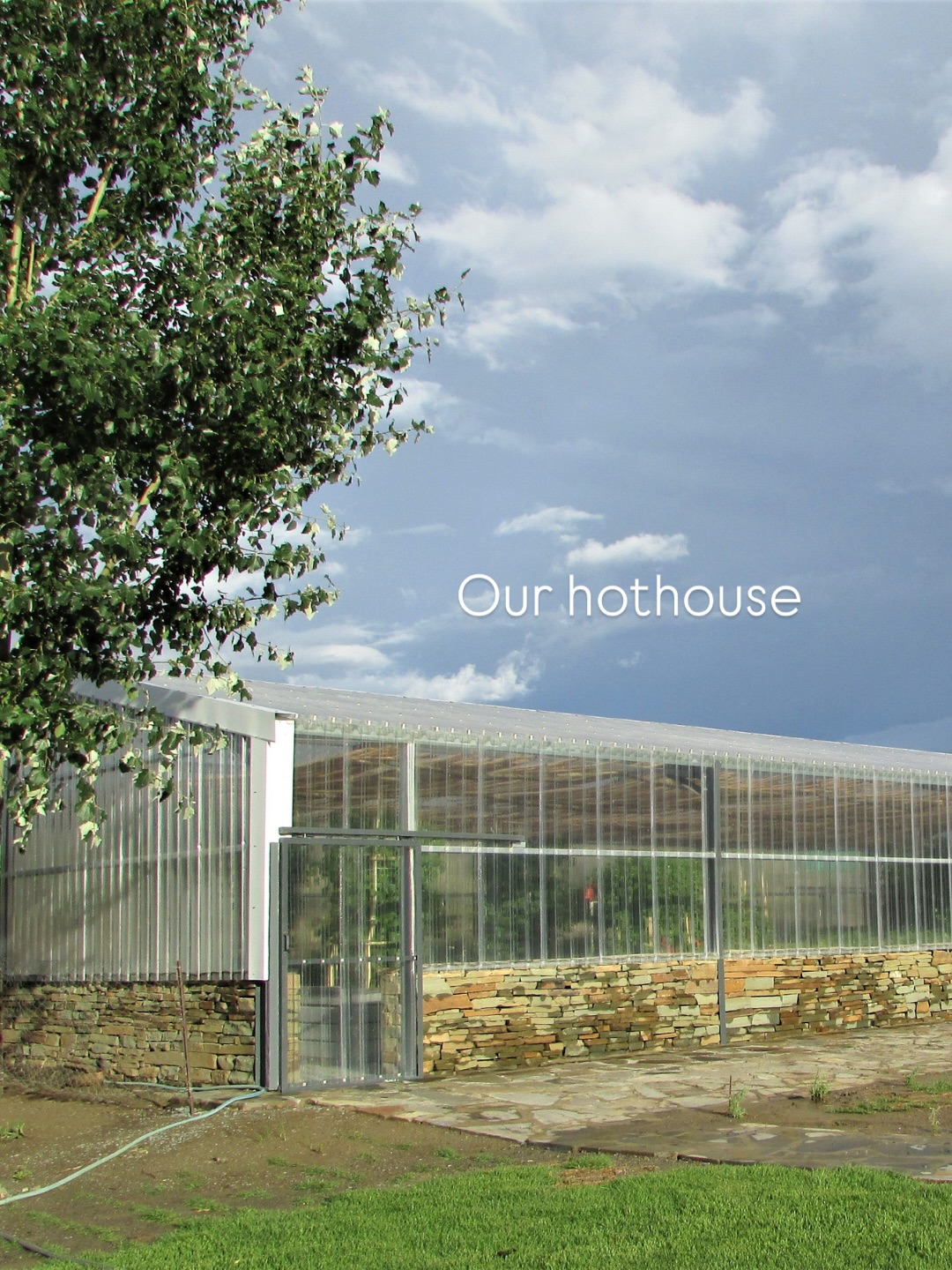 Have you heard of hot houses?
We have one, and it’s a quiet little hero in our self-sustainability story.
At Rogge Cloof, eco-conscious living runs deeper than words. Our hot house is where we nurture fresh growth in the middle of the Karoo, a space where warmth and care, come together to support life in this wild landscape.
It’s one small way we honour this land that holds us.
#luxuryecotravel #darkskyreserve #travelsouthafrica #karoo #karoolife
karooaccommodation hikingadventures hikingsouthafrica cheetahconservation cheetah sustainabletravel stargazing astrophotography sutherland astronomylover wideopenspaces natureescape nightphotography nightsky astronomy thisissouthafrica