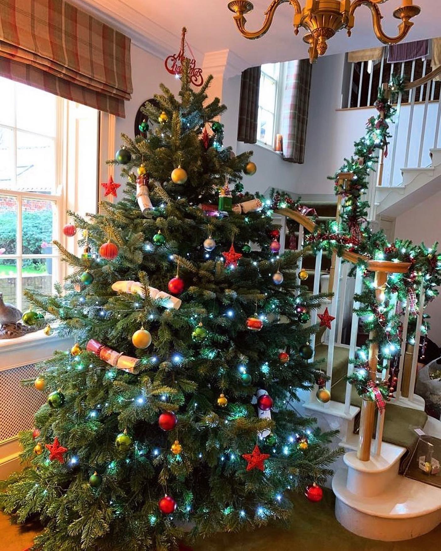 🌟 Fresh supply of 9-11ft pre cut trees tomorrow 🌟 Open again 10.30am-3.30pm 🎄
Products / services available:
🎄 Norway Spruce & Nordmann Fir available in our pick your own plantation
🎪 Our pre cut Nordmann Fir & pot grown range are displayed under shelter this year, located next to our plantation
☕️ Refreshments are available
🐶 Dogs welcome on a lead
🚗 Deliveries starting at £5
🌟 See our website for further details durhamchristmastrees.co.uk
#outdooractivities #locallysourced #freshlycut #pickyourown #PYO #durham #christmastrees #northeast #durhamchristmastrees #heughhallfarm #smallbusiness #christmasiscoming #nordmann #fir #norway #spruce