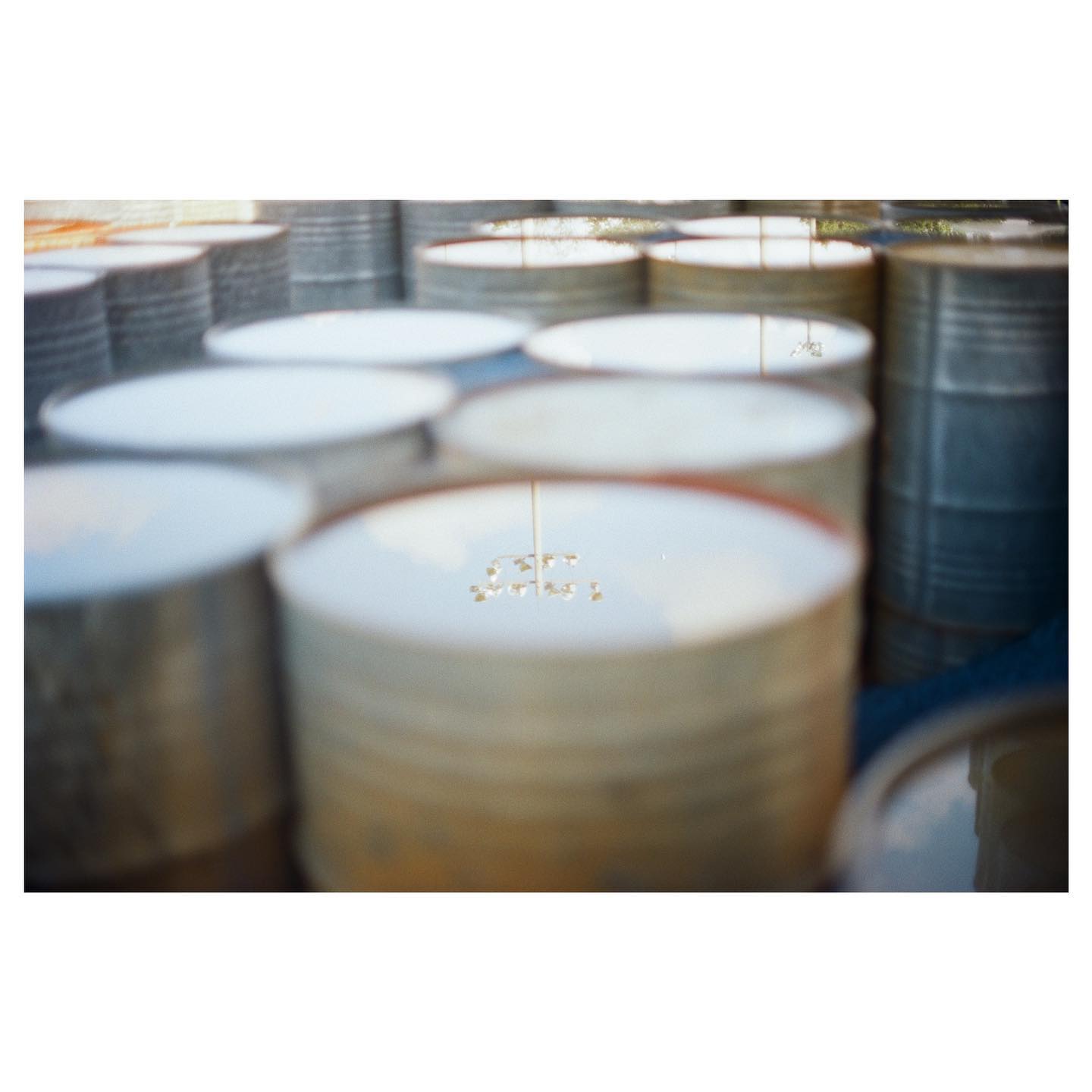 @ rural studio / reflection II
📷: canon ae-1 / kodak ektar 100
#ae1 #35mm #canon #canonae1 #ektar100 #kodak #kodakektar100