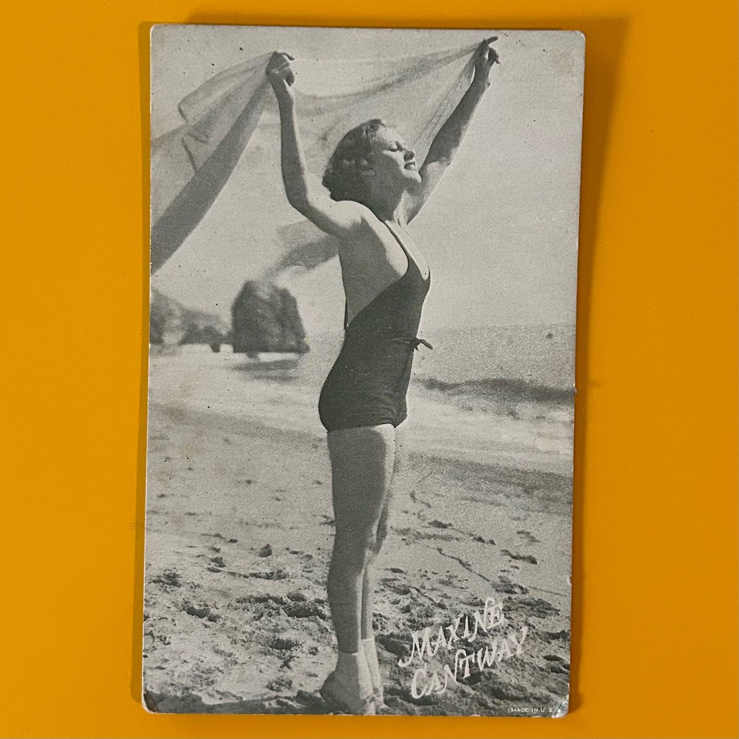 Shoppe is open today! 10am - 2pm. Come shop The Village, have a summer lunch - we'll see you soon!