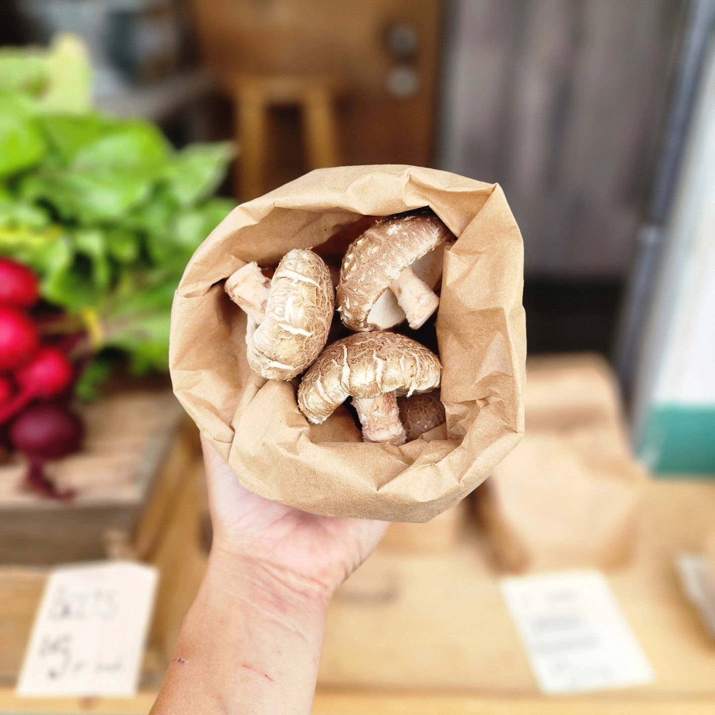 COME GET SOME FRESH SHIITAKES!
Self-serve farm stand at 6296 Meadows Road. Open today from 8 to 1!