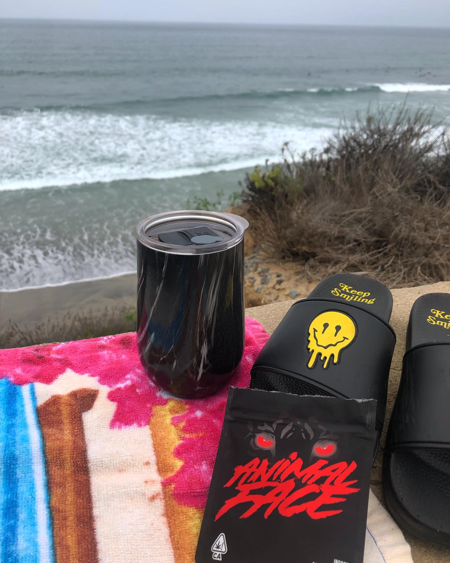 Is there a better way to start your morning than watching the surf with some coffee and @seedjunkygenetics_jbeezy Animal Face? ❤️🔥🐯 this strain has such an herbal & creamy taste to it with a touch of peppery spice.
It is highly calming while also providing euphoric effects. I’ve also realized anything from #seedjunky I am a huge fan of. They have their genetics on point and you can always look forward to a terpy experience! Oh and don’t forget to “Keep Smiling” 🤤 #animalface #seedjunky #indica #hybrid #euphoria #relaxation #anxietyrelief #keepsmiling #themarijuanamedium