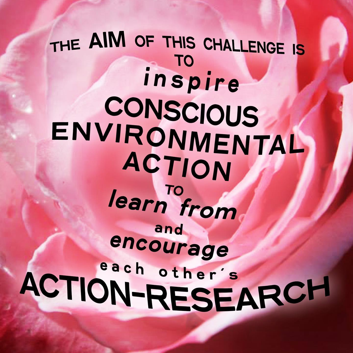 Join today and you will receive at least one weekly email from me on Thursdays throughout this month which will include:
Information on the upcoming week's activities
Sharing of participants updates from the previous week