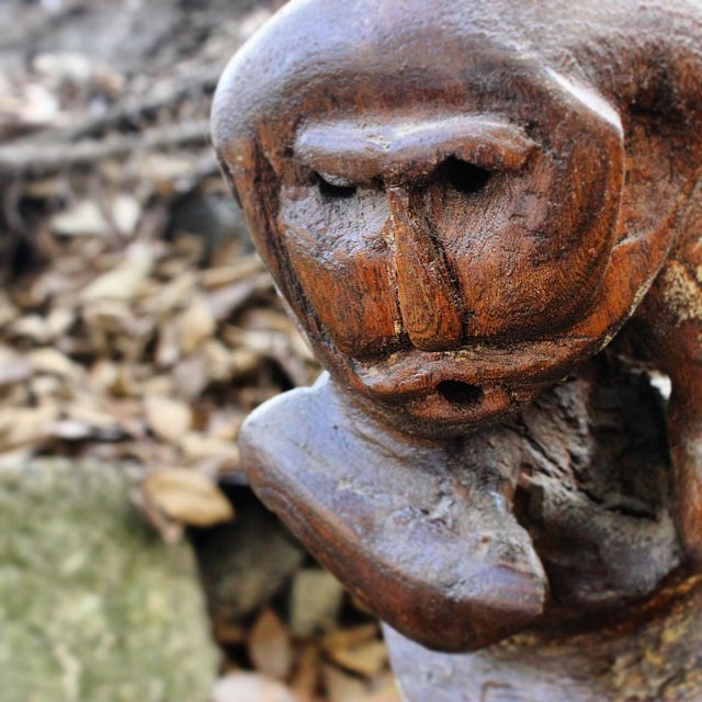 Scultura in legno intagliato ~ Ubaldo Bricco #artecontemporanea #arte #scultura #legno #wood #sculpture #italianart #italianartist #italy #milano #ubaldobricco #contemporaryart #creativity #surreale