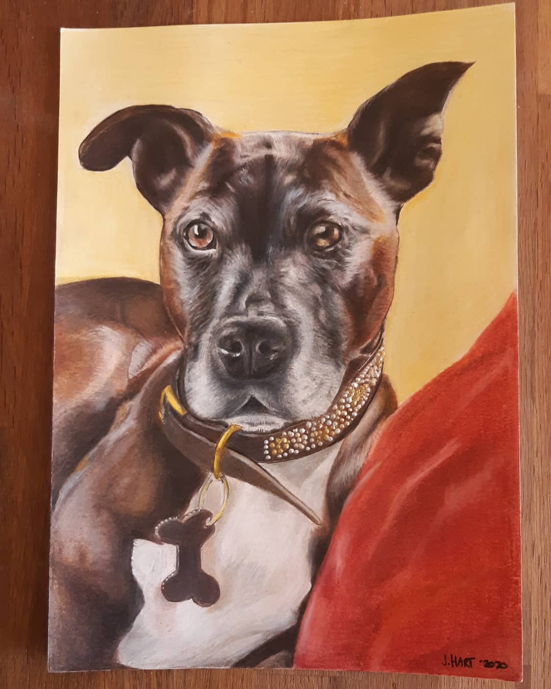 Just completed, latest commission, very happy with outcome.....drawn with my favourite Faber- Castell polychromos ....
#petportrait #drawingsketch #finearts #dog #dogsofinstagram