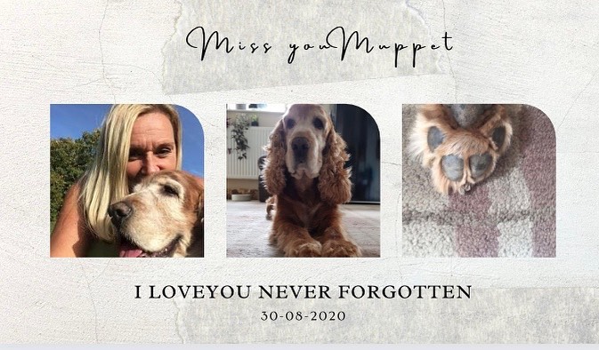 I miss you all the time. Always mentioned, never forgotten Thankyou for all my feathers & visits 💜