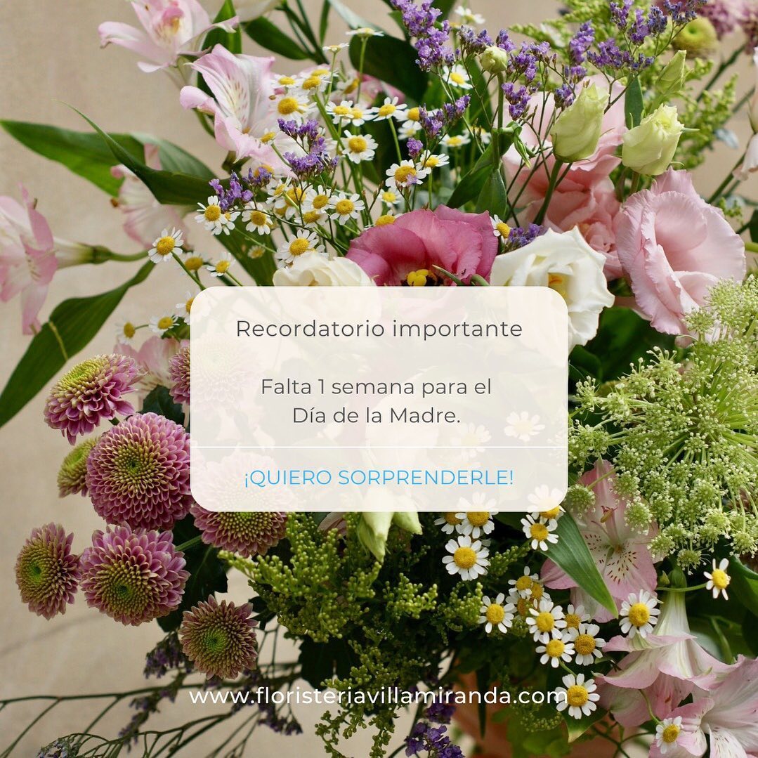 Falta 1 semana para el Día de la Madre 🔔
Hoy a la noche habrá novedades en la web 💐
www.floristeriavillamiranda.com