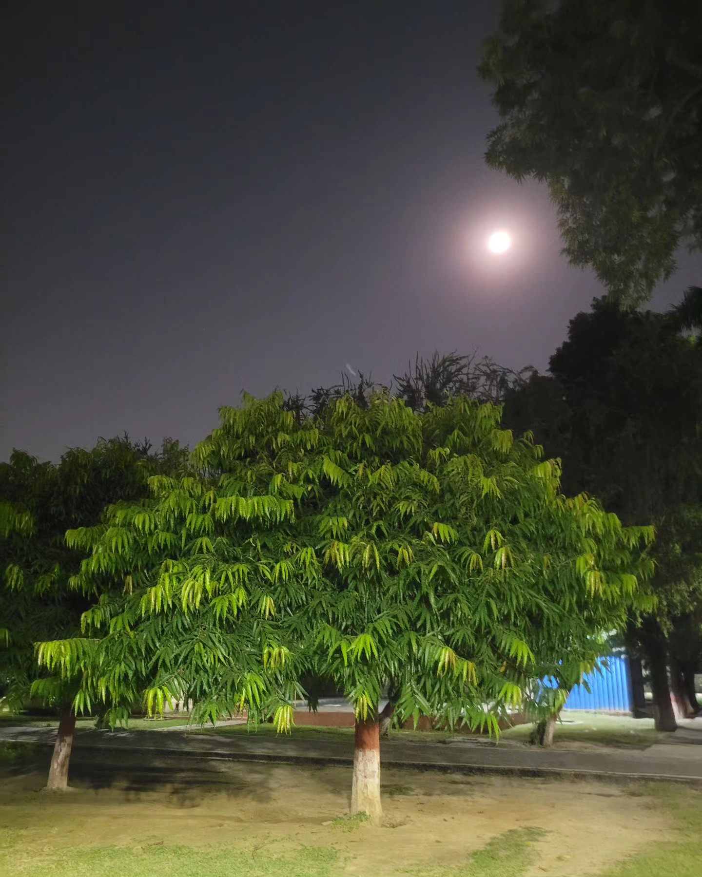 Looking for signs ✨️
#queridazindagi