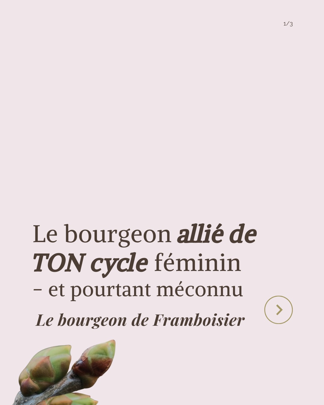Le Framboisier ou Le bourgeon que ton cycle aimerait que tu connaisses
--> SPM, règles douloureuses, cycles irréguliers, transitions hormonales…
En gemmothérapie, le bourgeon de framboisier est un allié précieux du système hormonal féminin 🌿
Il est reconnu pour soutenir l’équilibre hormonal, accompagner la régularité du cycle et apaiser certaines tensions liées aux variations hormonales — de la puberté à la ménopause.
✨ Un soutien naturel, à intégrer dans une approche globale et personnalisée.
⚠️ Prévention & cadre d’accompagnement
Ces conseils ne remplacent pas un avis médical et n’ont pas vocation à soigner une pathologie.
En cas de troubles persistants ou de doute, un accompagnement par un professionnel de santé est indispensable.
👉 Tu connaissais ce bourgeon ? Dis-le-moi en commentaire 🌸