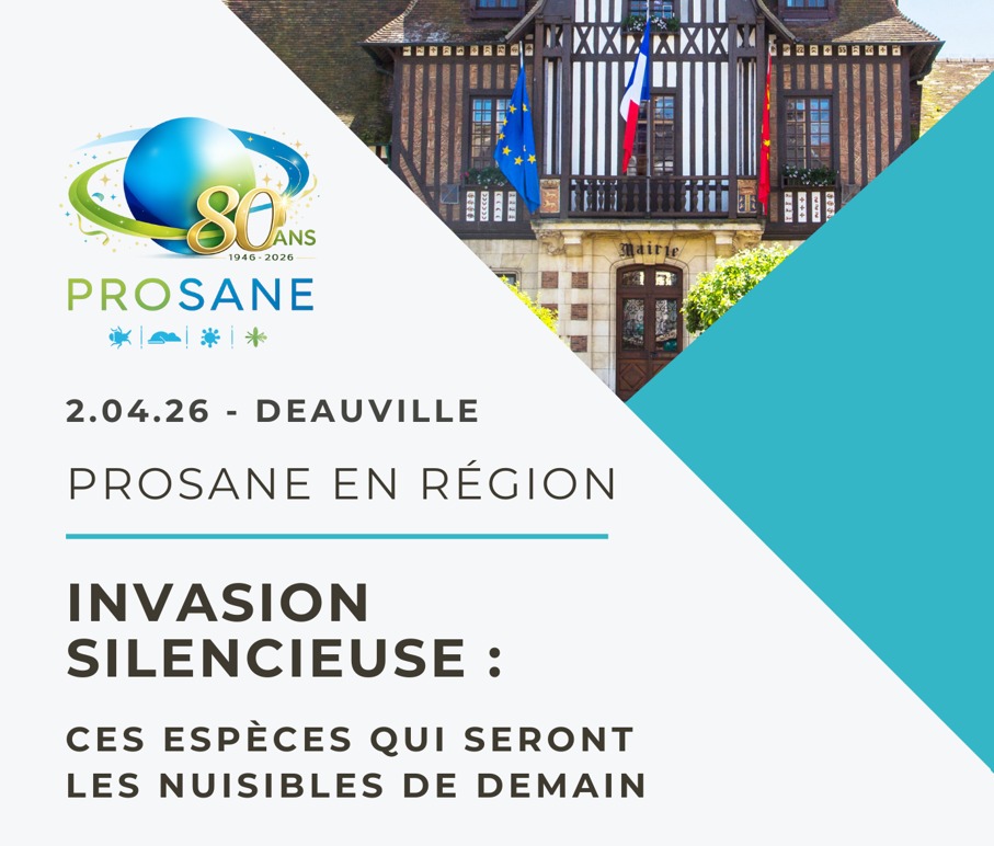 🚨 INVASION SILENCIEUSE : Ces espèces qui seront les nuisibles de demain 🚨
📍 Prosane en Région – Deauville
🗓 Jeudi 2 avril
Les espèces invasives progressent, souvent discrètement… et leurs impacts seront majeurs demain.
Pour décrypter ces enjeux, Prosane vous donne rendez-vous à Deauville pour une nouvelle édition de Prosane en Région dédiée à l’anticipation, à la connaissance scientifique et aux retours de terrain.
👉 Cette journée sera aussi l’occasion de réunir et de présenter une grande partie de notre Comité Scientifique, Technique et Règlementaire, avec des interventions d’experts autour de la globalisation, des insectes sociaux, des oiseaux, des triatomes ou encore des dimensions sociologiques des espèces envahissantes.
🤝 Professionnels, partenaires, acteurs du terrain, adhérents ou futurs adhérents : venez nombreux pour échanger, apprendre et construire ensemble les réponses de demain !