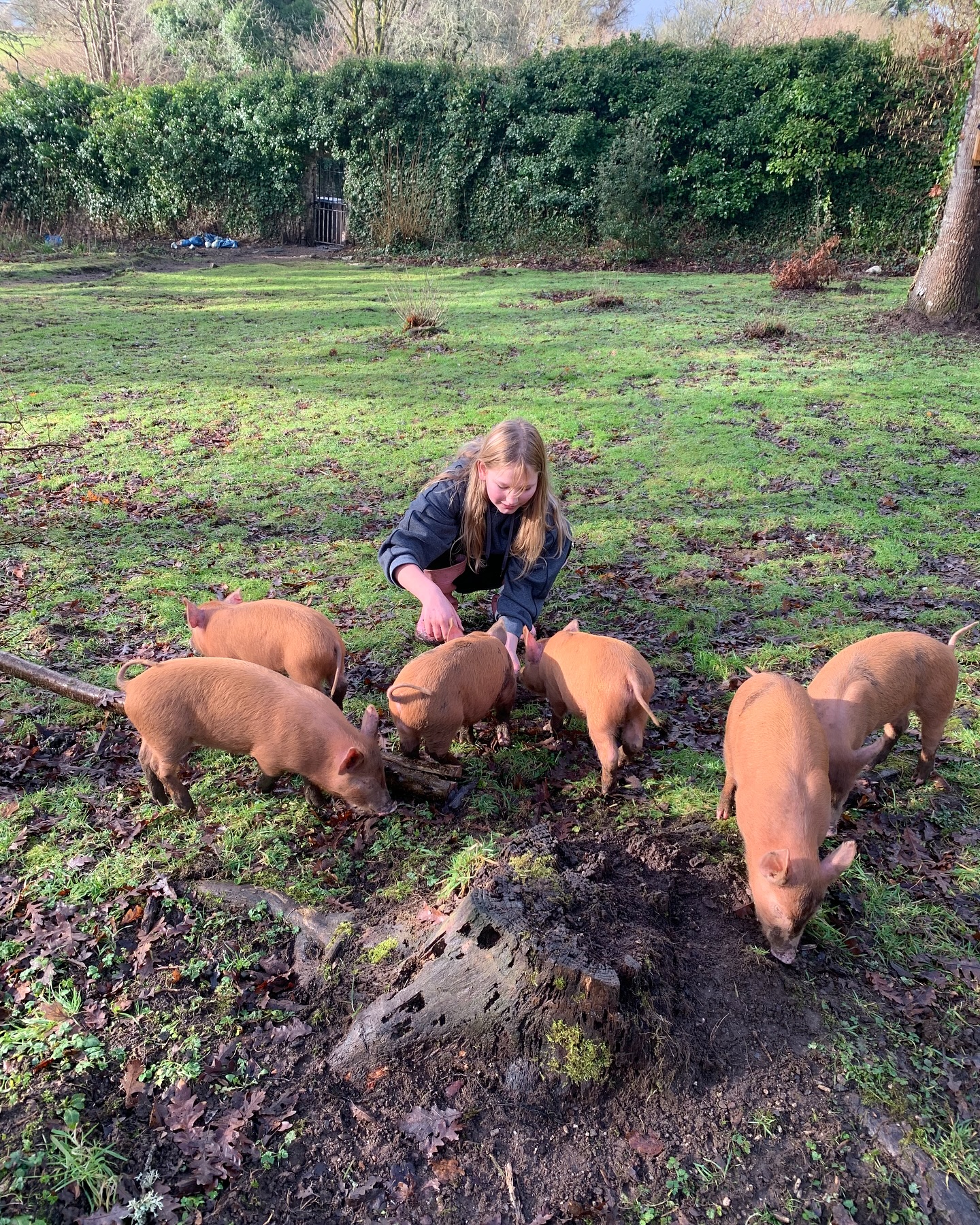 #tamworths #moortolife #rewildingeducation