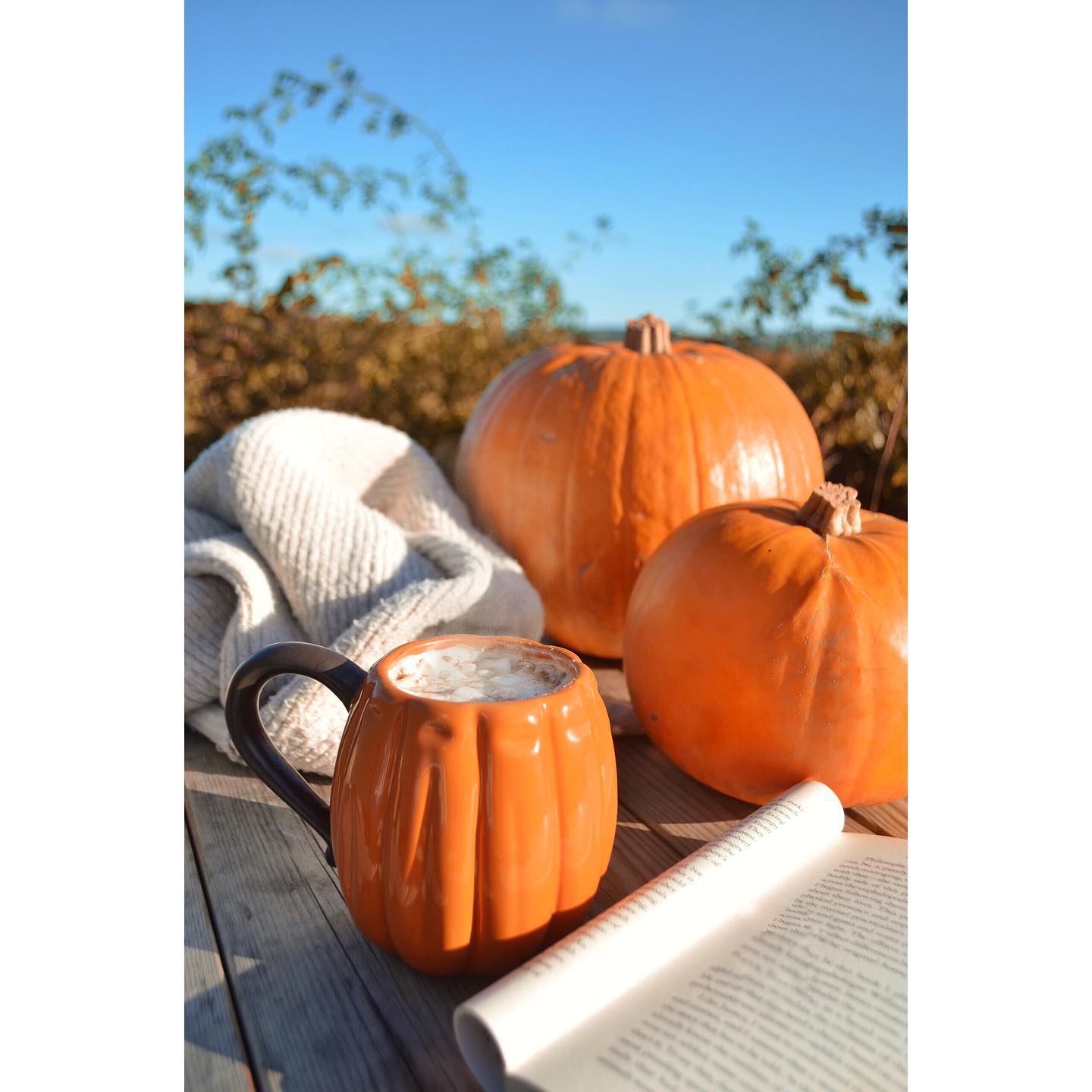It’s that time of year 🍁🍂 We still have some weekend availability for the Autumn - click the link in our bio