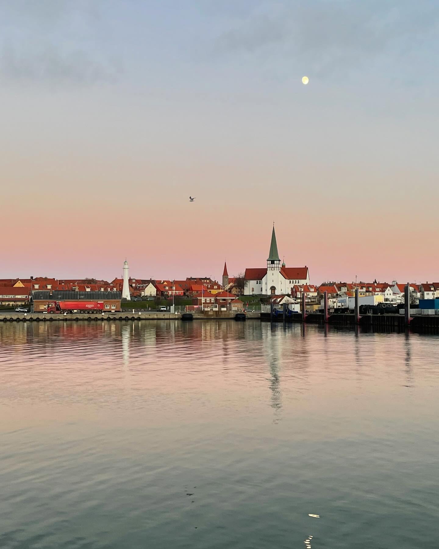 Jeg er ikke det mest julede menneske jeg kender. Men julesamlerne synes jeg er noget af det smukkeste der findes, og især denne strofe fra Dejlig er jorden:
Tider skal komme
Tider skal henrulle
Slægt skal følge slægters gang
Aldrig forstummer
Tonen fra Himlen
I sjælens glade pilgrimssang
🌱At vi er forbundne i fortid og nutid, hænger sammen med hinanden og er en del af noget større er meningsfuldt.
At stå Rønne havn og se månen hængende over huse bygget til nogle helt andre mennesker end de, der bor i dem nu, giver en ro og vished om, at vi er her sammen.