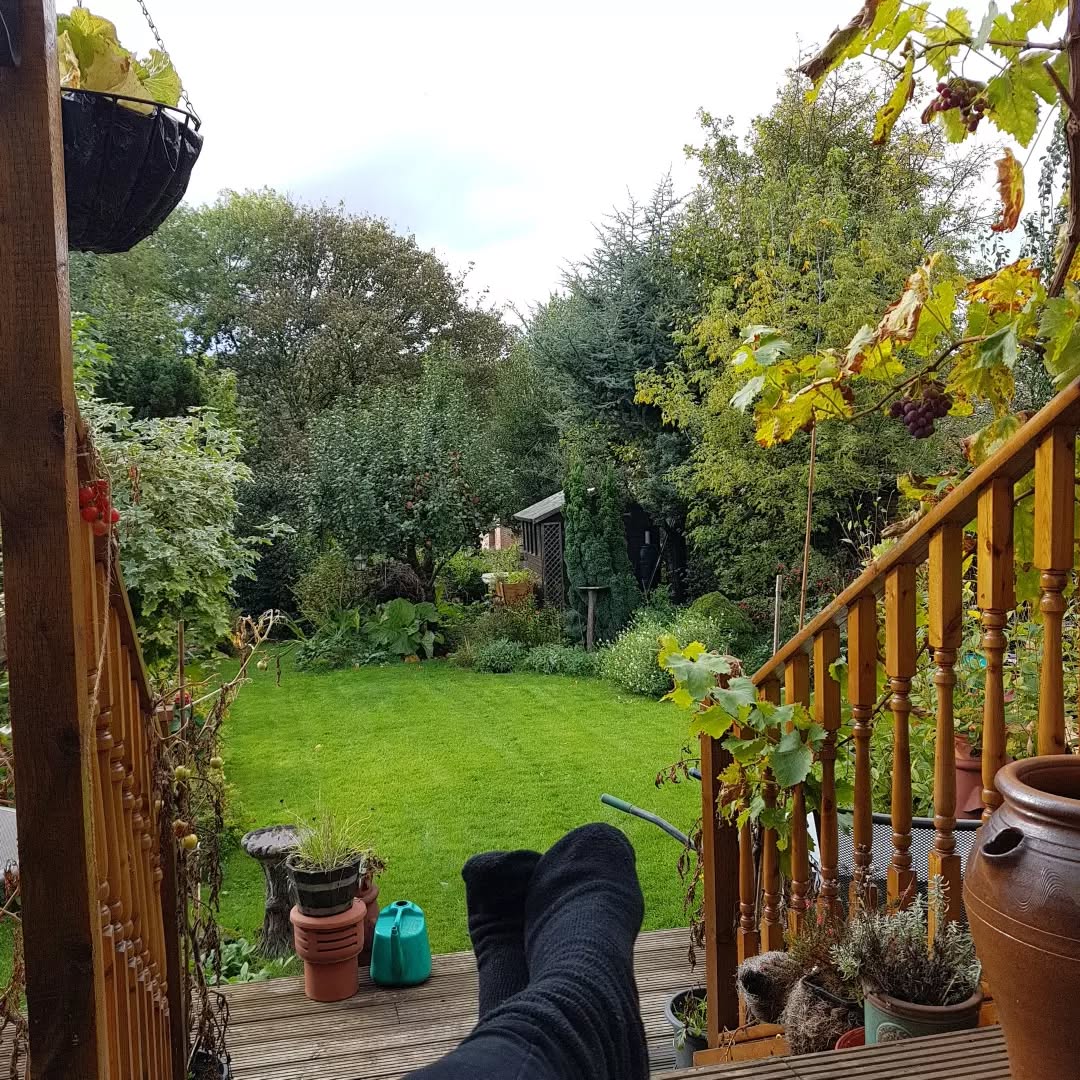 Just sitting. Having a mindful mo. With the last of the grapes and toms dangling on their vines, the last of the slightly scabby apples this year being left on the tree for the dickbods, the last of the wasps maybe, last of the fresh chives, creeping thyme ... and so on. All things temporary. All back next year. Time to get back to my desk and do some work..!
Wishing you a contemplative day full of gratitude and blessings ๐๐ ๐
