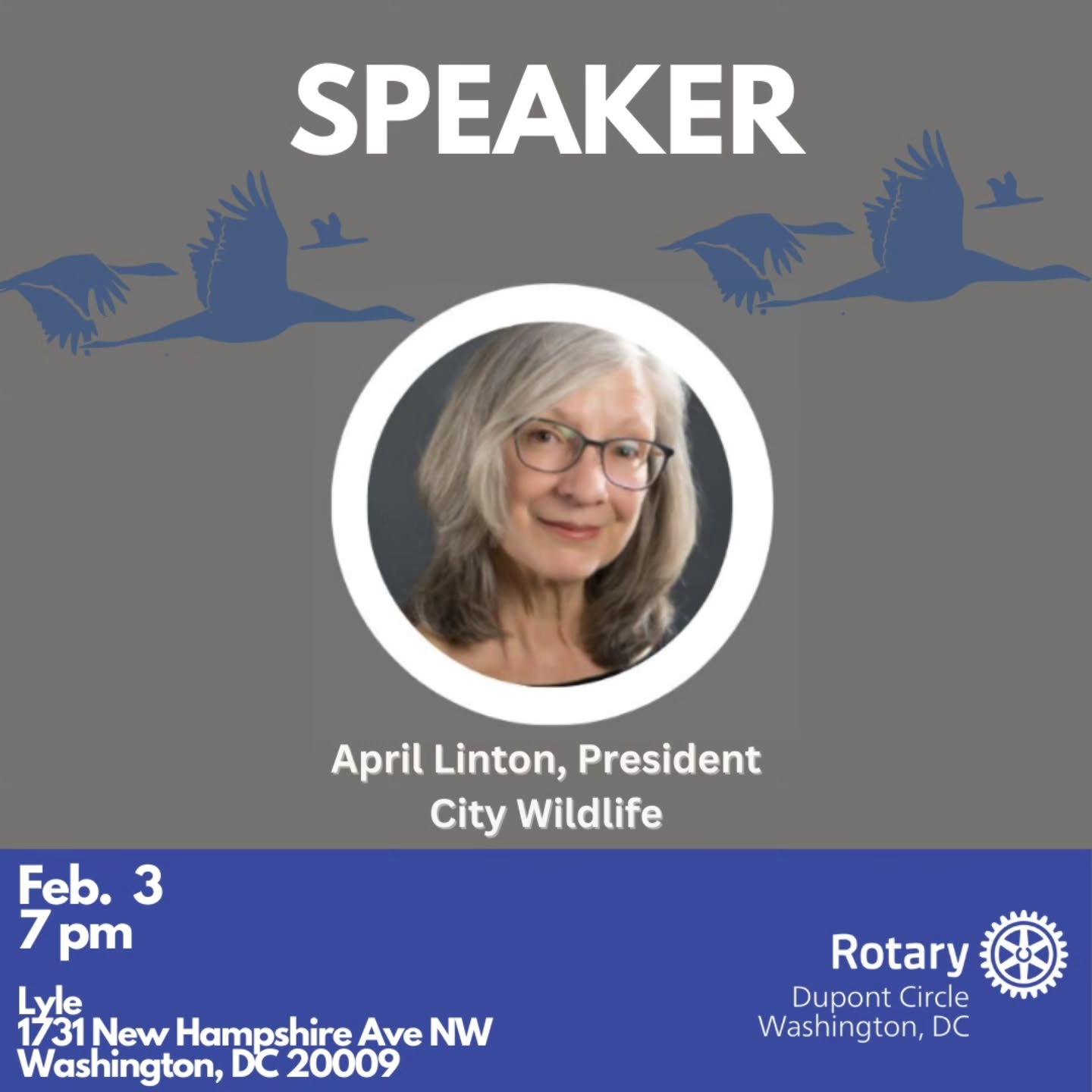 Join us for our next meeting featuring April Linton, board president of @dccitywildlife which protects and advocates for wildlife and wildlife habitat through rehabilitation for release, public education, and community engagement.
April, a sociologist by training, coordinates the Duck Watch program, which rescues and rehabilitates our web-footed friends. Join us to learn about the wildlife among us and the ways the public can help protect the District of Columbiaās wild places for animal habitats.
Time: 7:00 - 8:00 pm
Location: Lyle, 1731 New Hampshire Ave, NW, Washington, DC 20009
See you there!
#dupontrotary #serviceaboveself