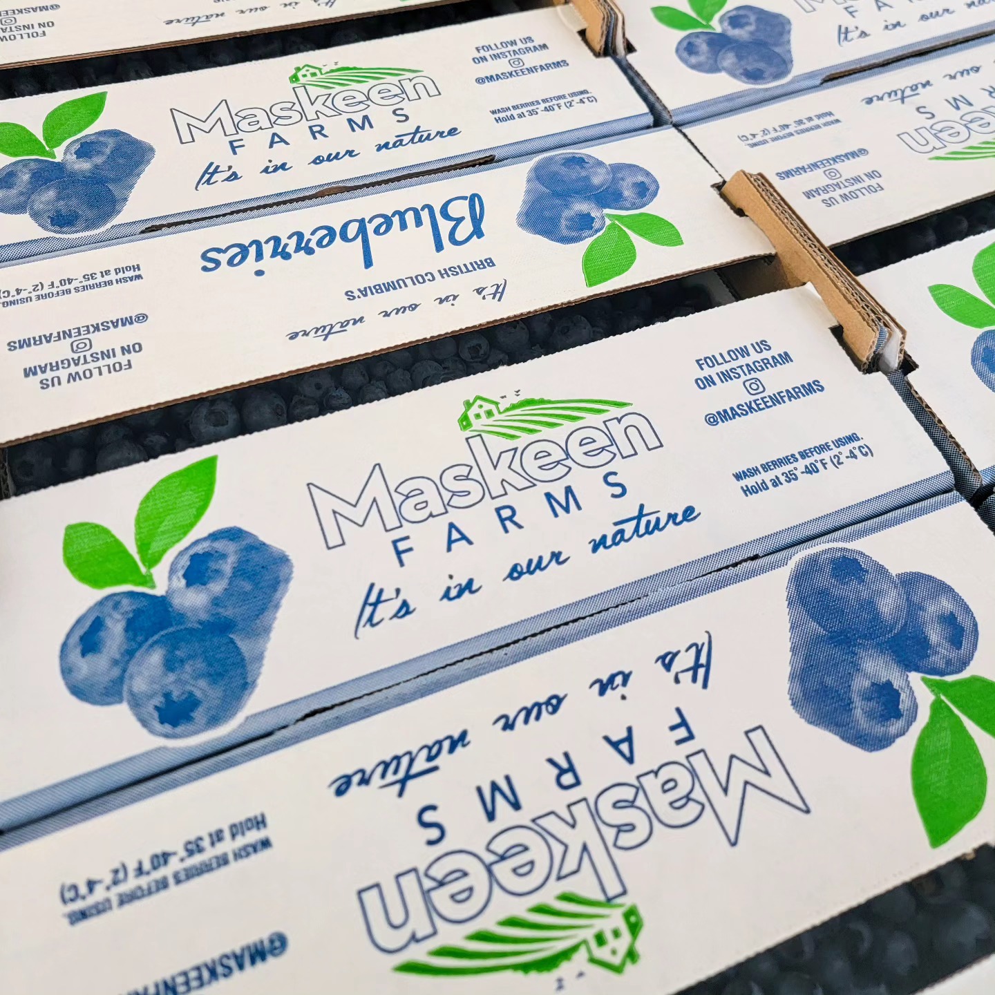 Last chance to grab fresh Duke blueberries! Duke blueberries big, crunchy and sweet.Come down to our farm to give them a try. We are open from 9:00 AM to 6:00 PM everyday!
.
.
#Maskeenfarms #Farm #BlueberryFarm #Blueberry #Blueberries #2023 #BC #Vancouver #Surrey #Richmond #Langley #BeautifulBC #Nature #Outdoors #Summer #Spring #Agriculture #Health #Healthy #Food #Fruit #Sunset #Instagram #Healthylifestyle #Season #Green #Sustainable #Honey #Bees #Season #Duke